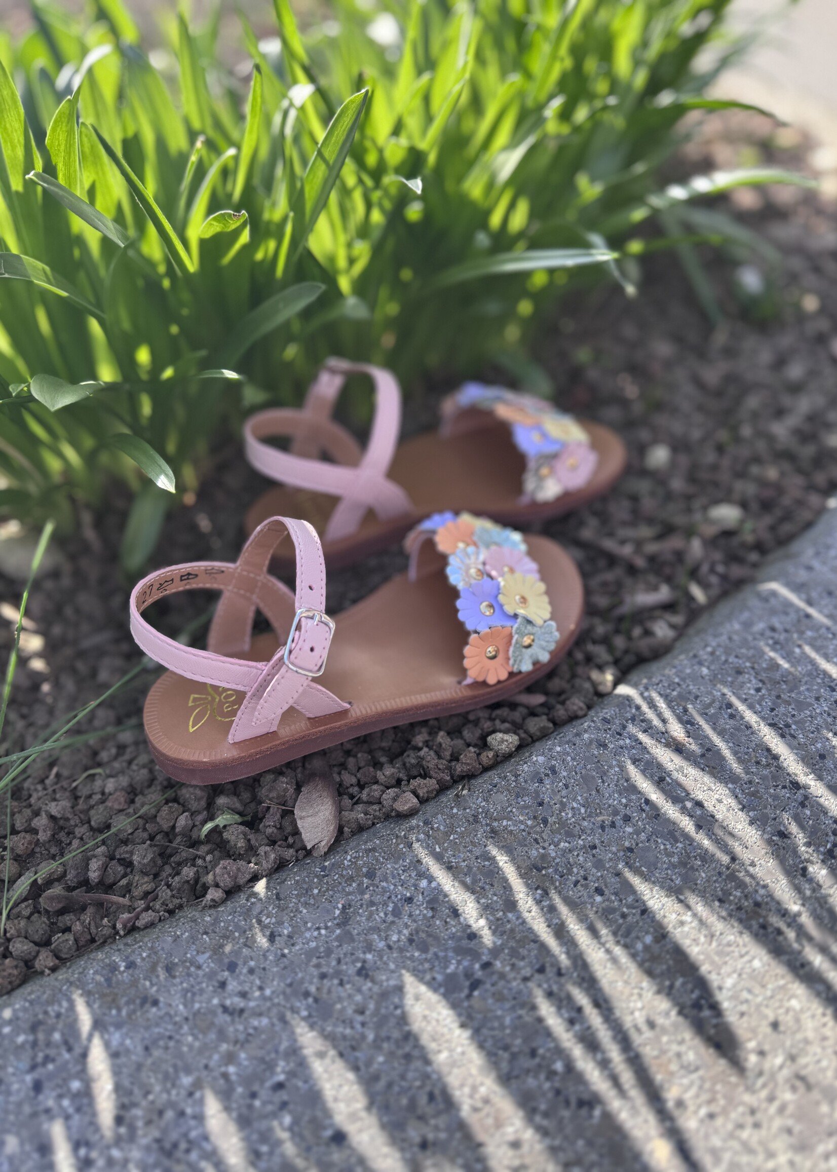 Pom d'api plagette multi flo casiopea rose nacre