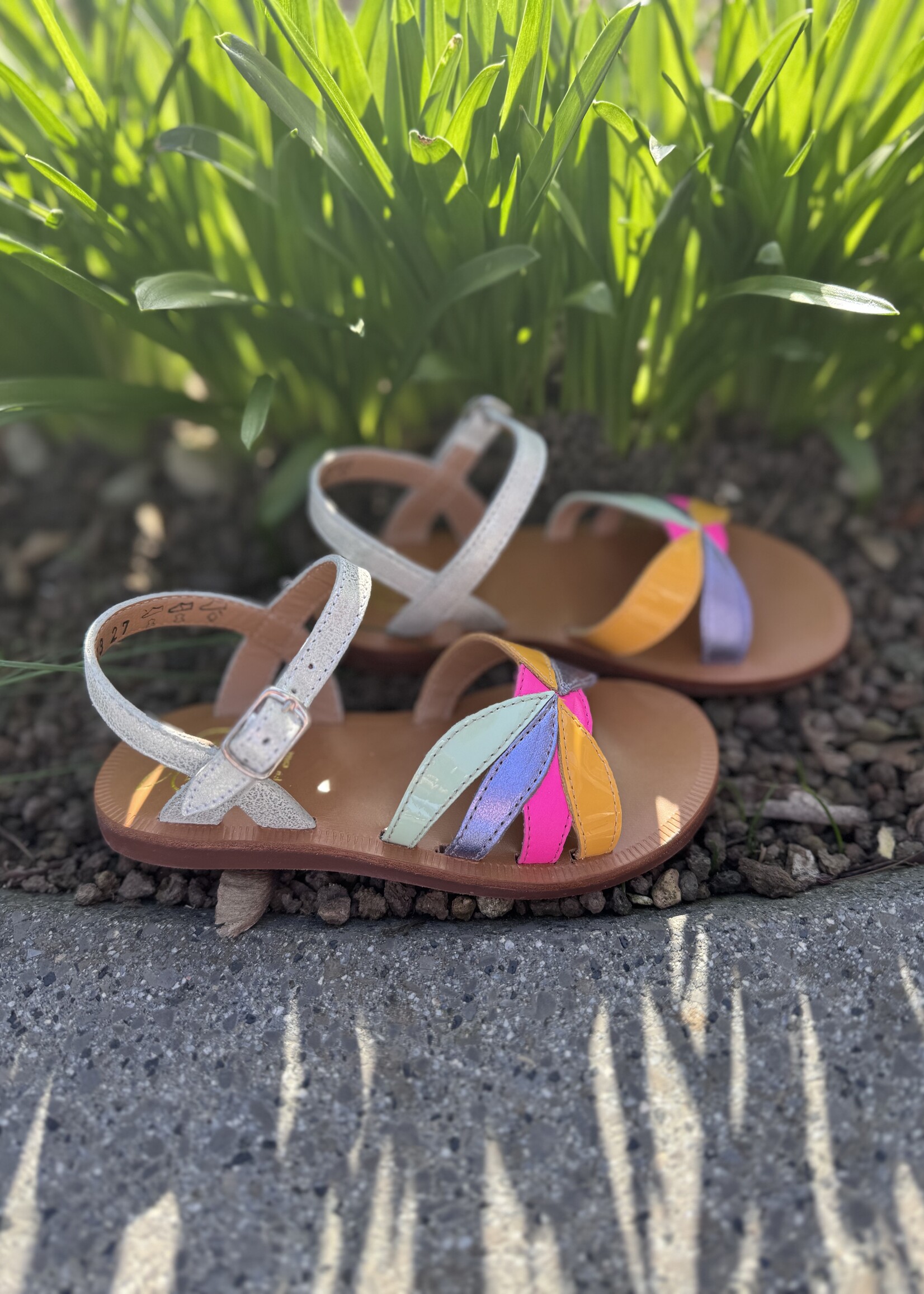 Pom d'api Plagette Oto muestra silver multi