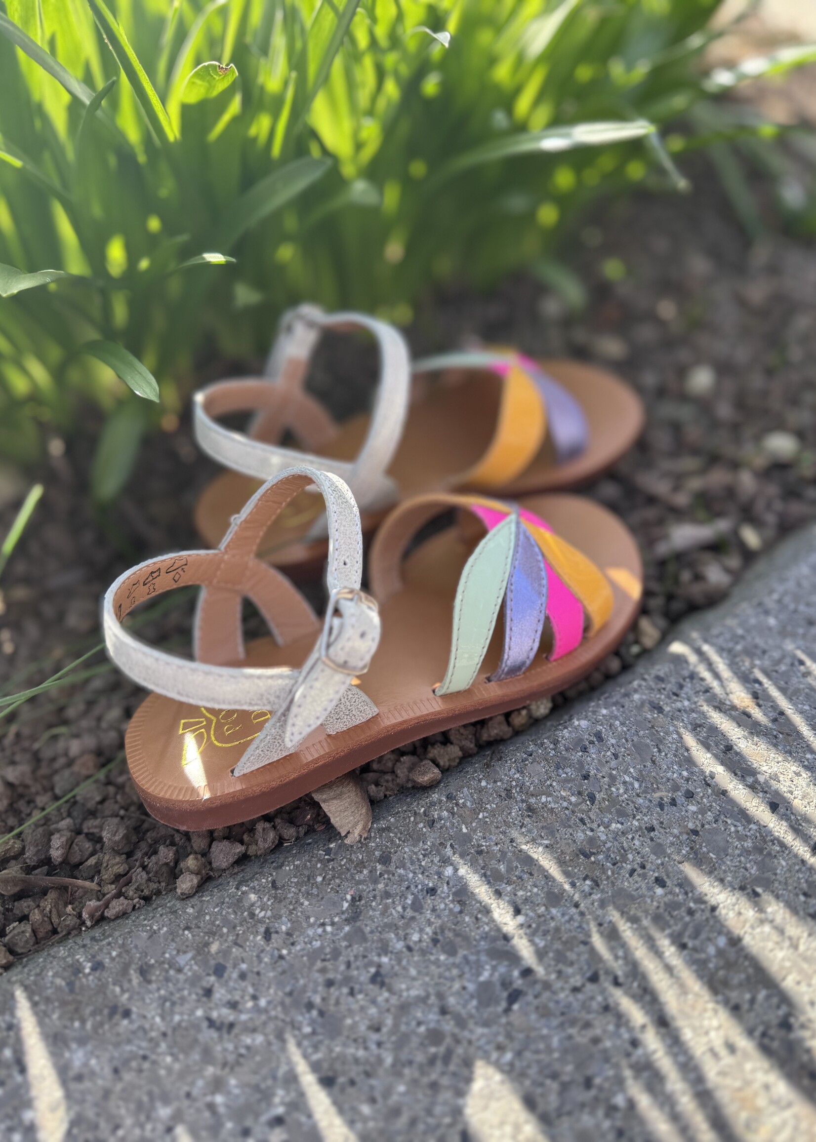 Pom d'api Plagette Oto muestra silver multi