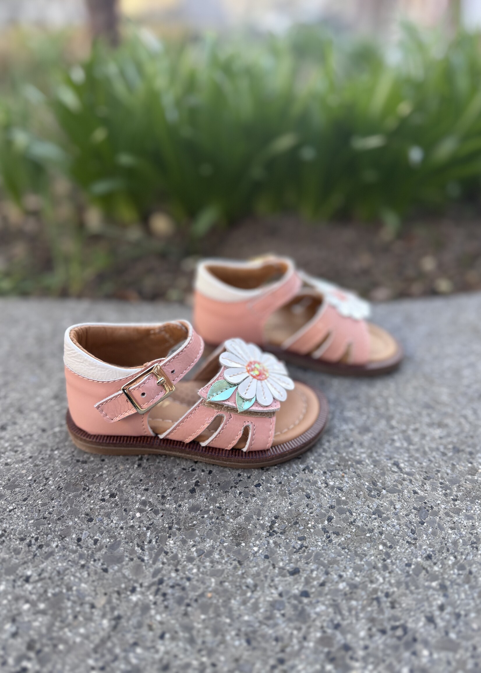 Bana & Co 26132125 sandaal peche