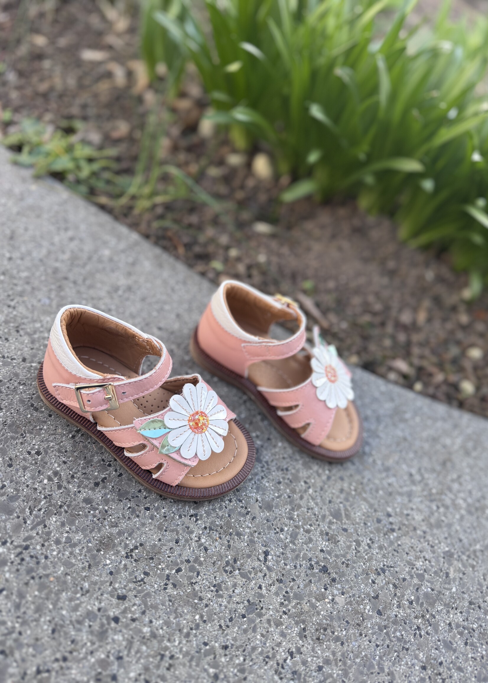 Bana & Co 26132125 sandaal peche