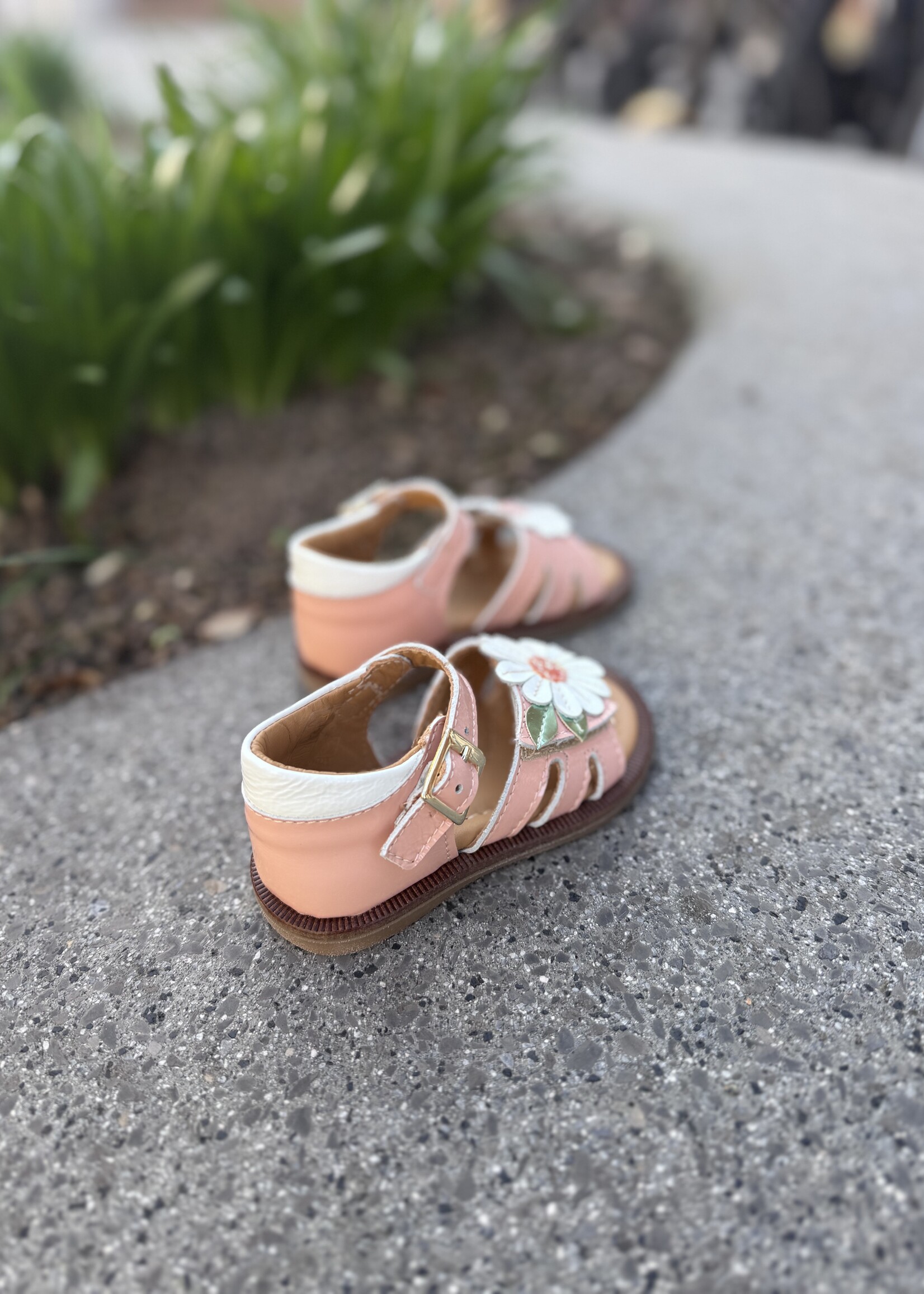 Bana & Co 26132125 sandaal peche