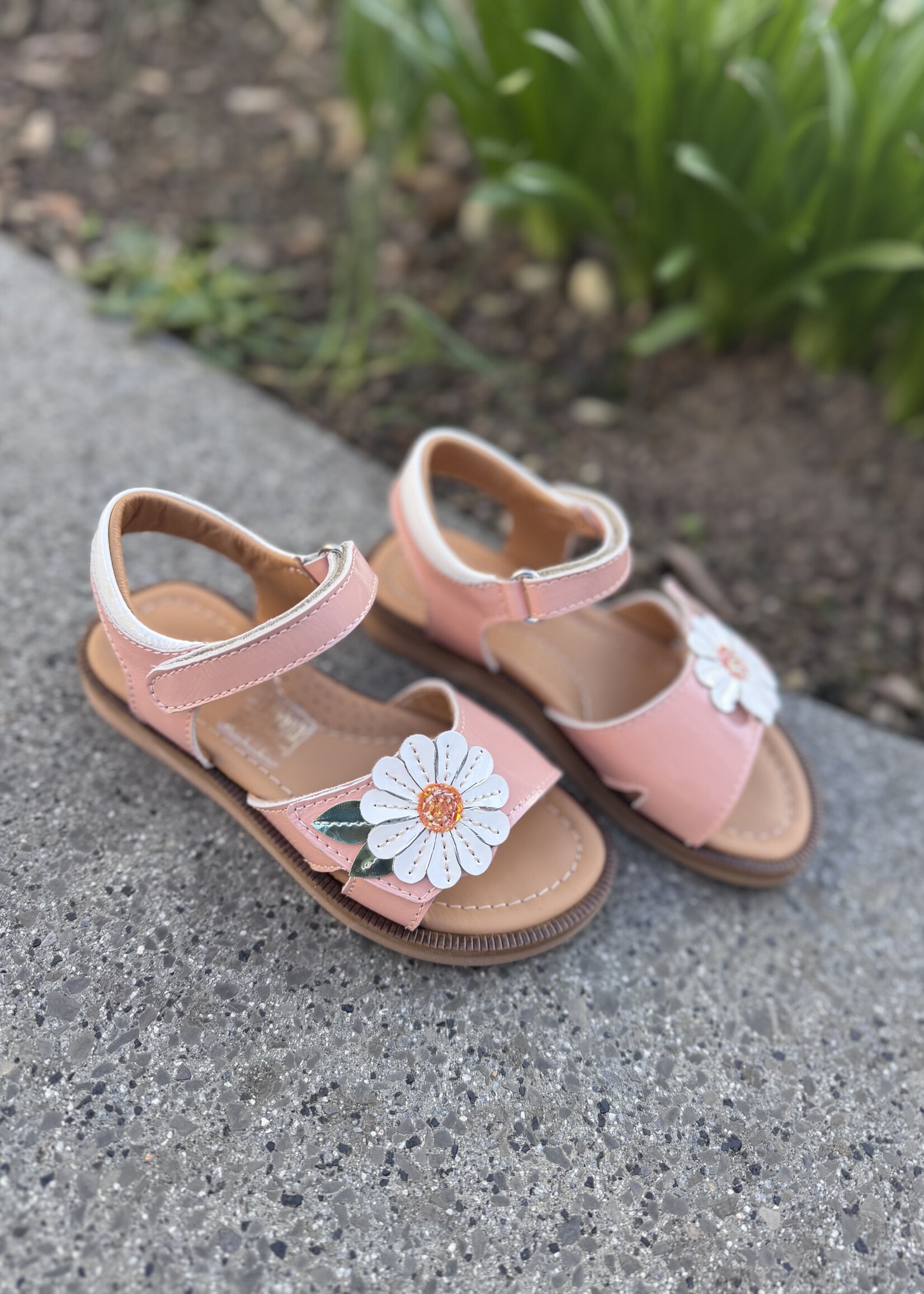 Bana & Co 26132126 sandaal peche