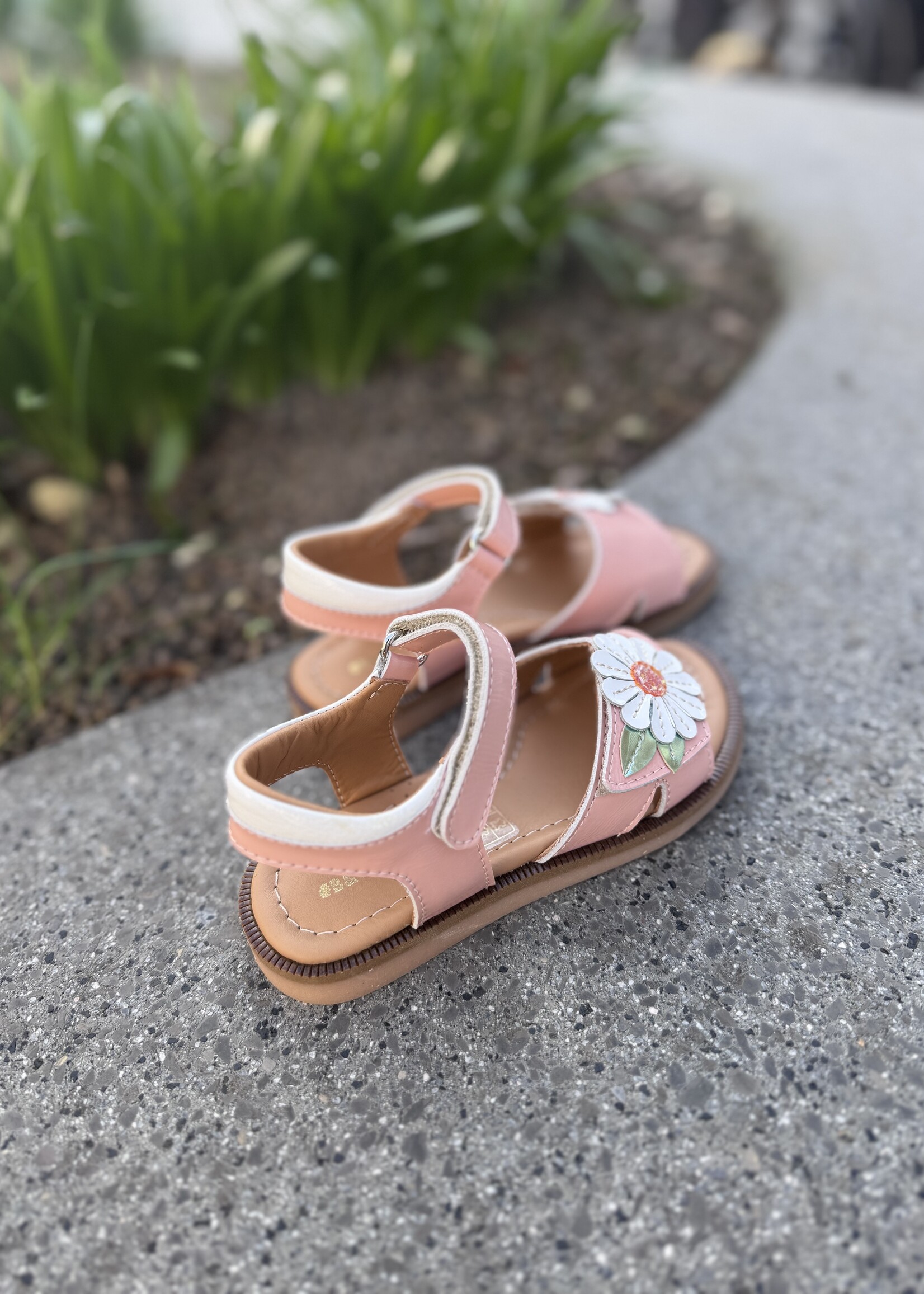 Bana & Co 26132126 sandaal peche