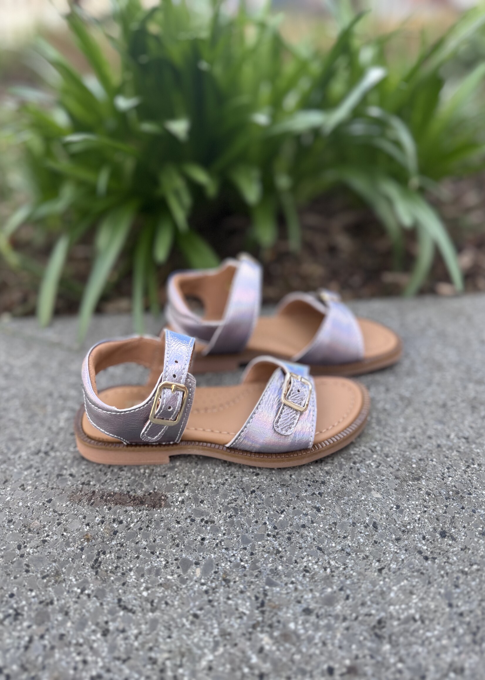 Zedo CL07 sandaal silver metallic