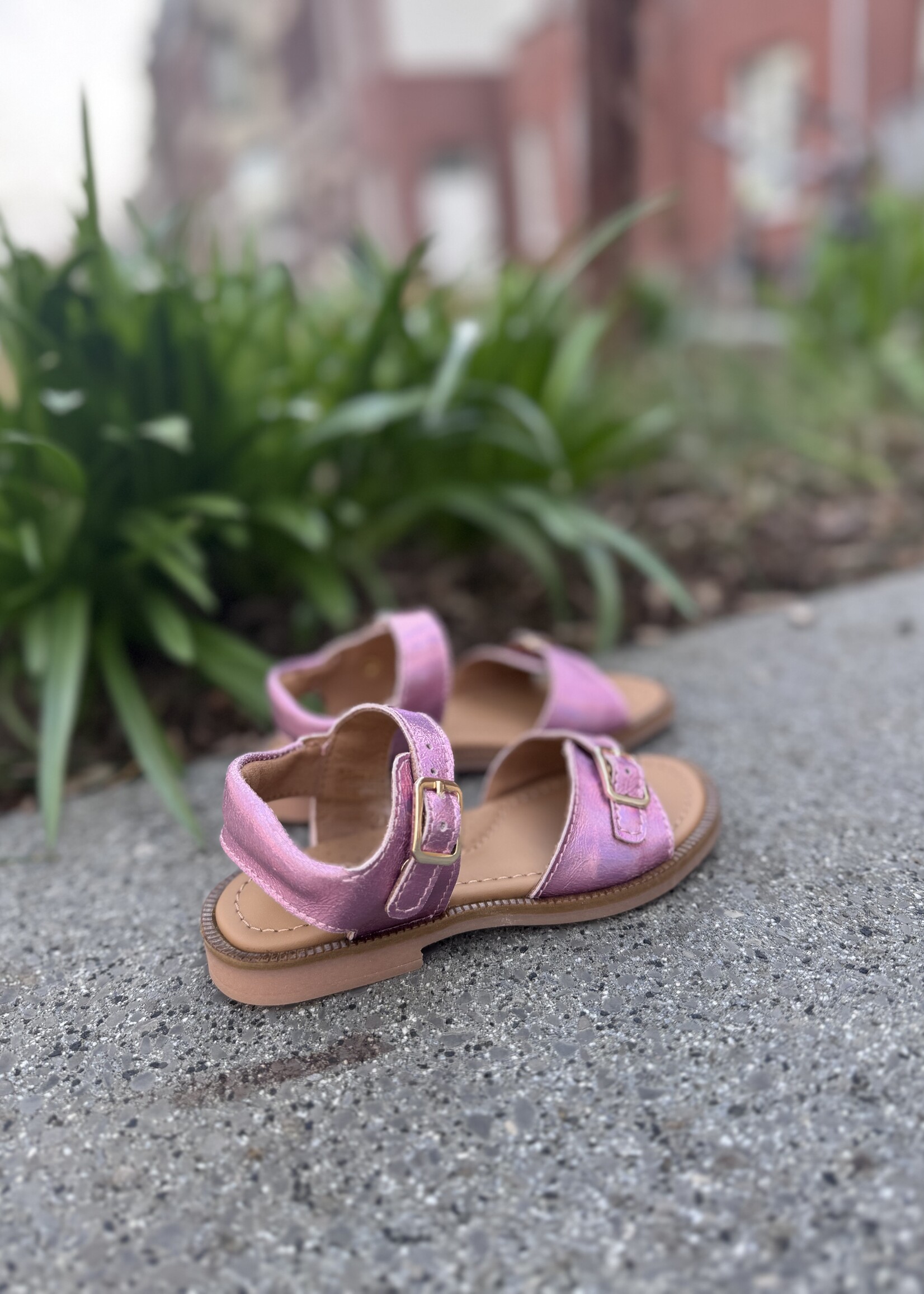 Zedo CL07 sandaal rose metallic