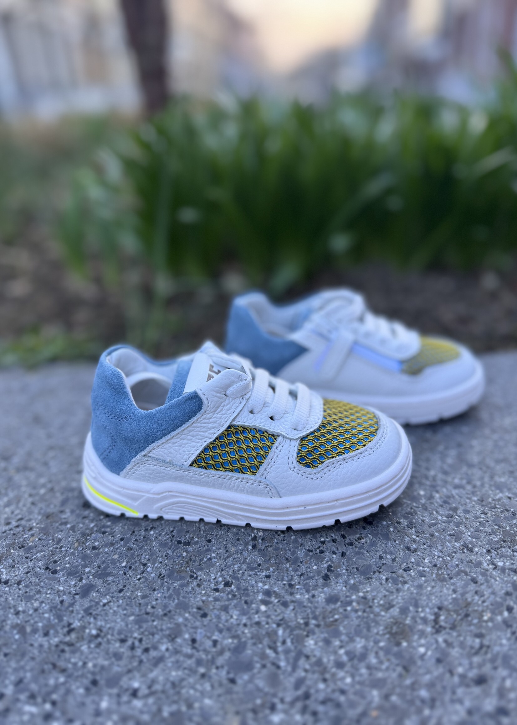 Zedo sneaker wit blauw oker