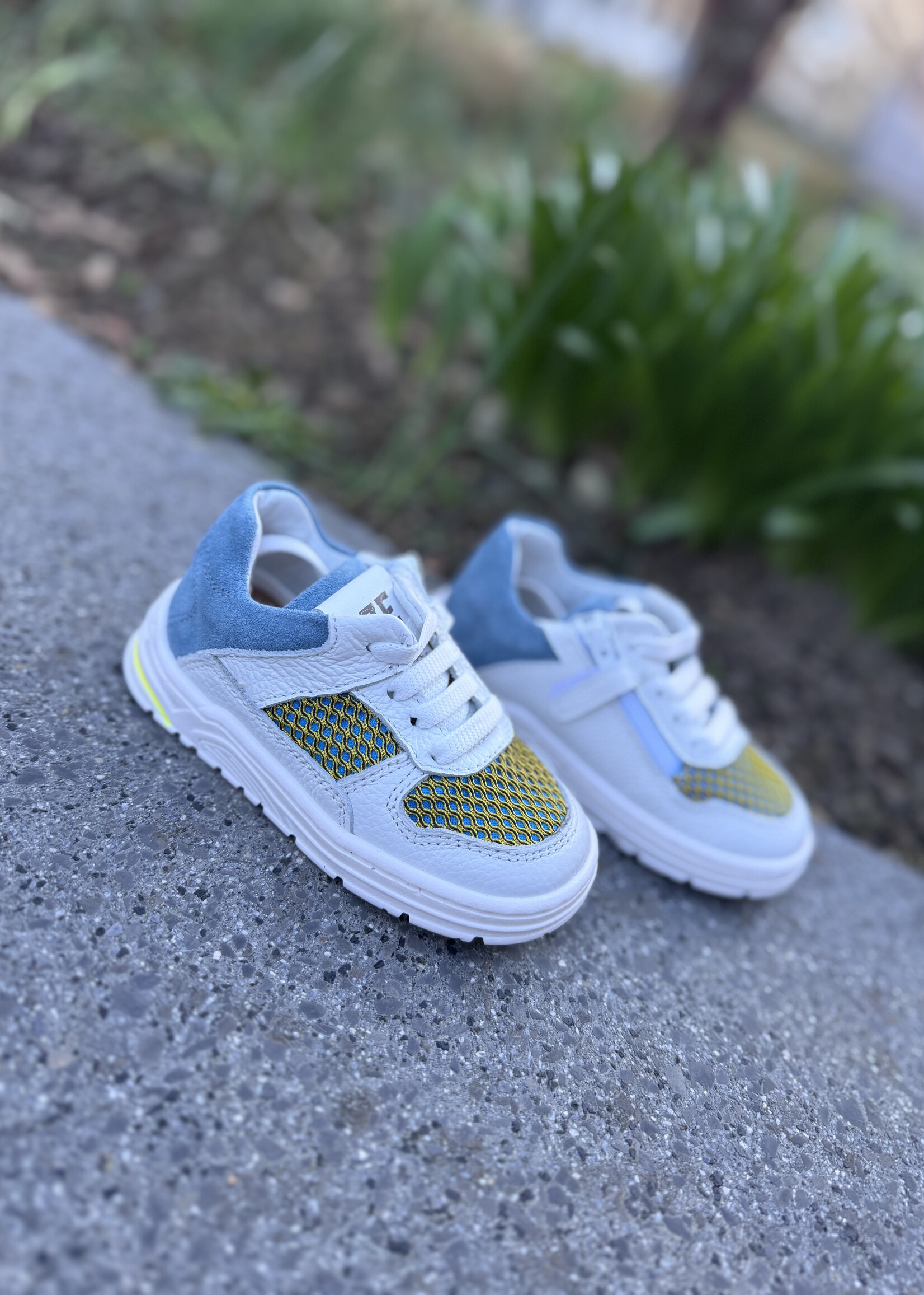 Zedo sneaker wit blauw oker