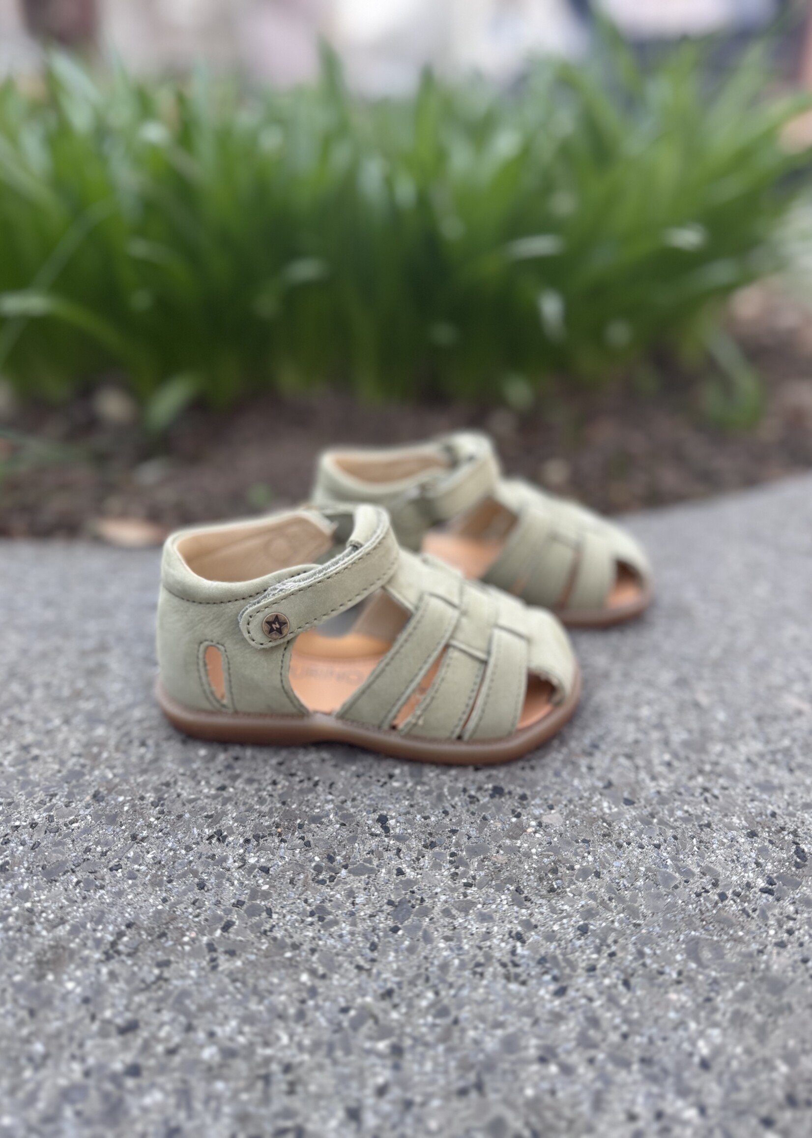 Naturino Zaffiro nabuk leaf