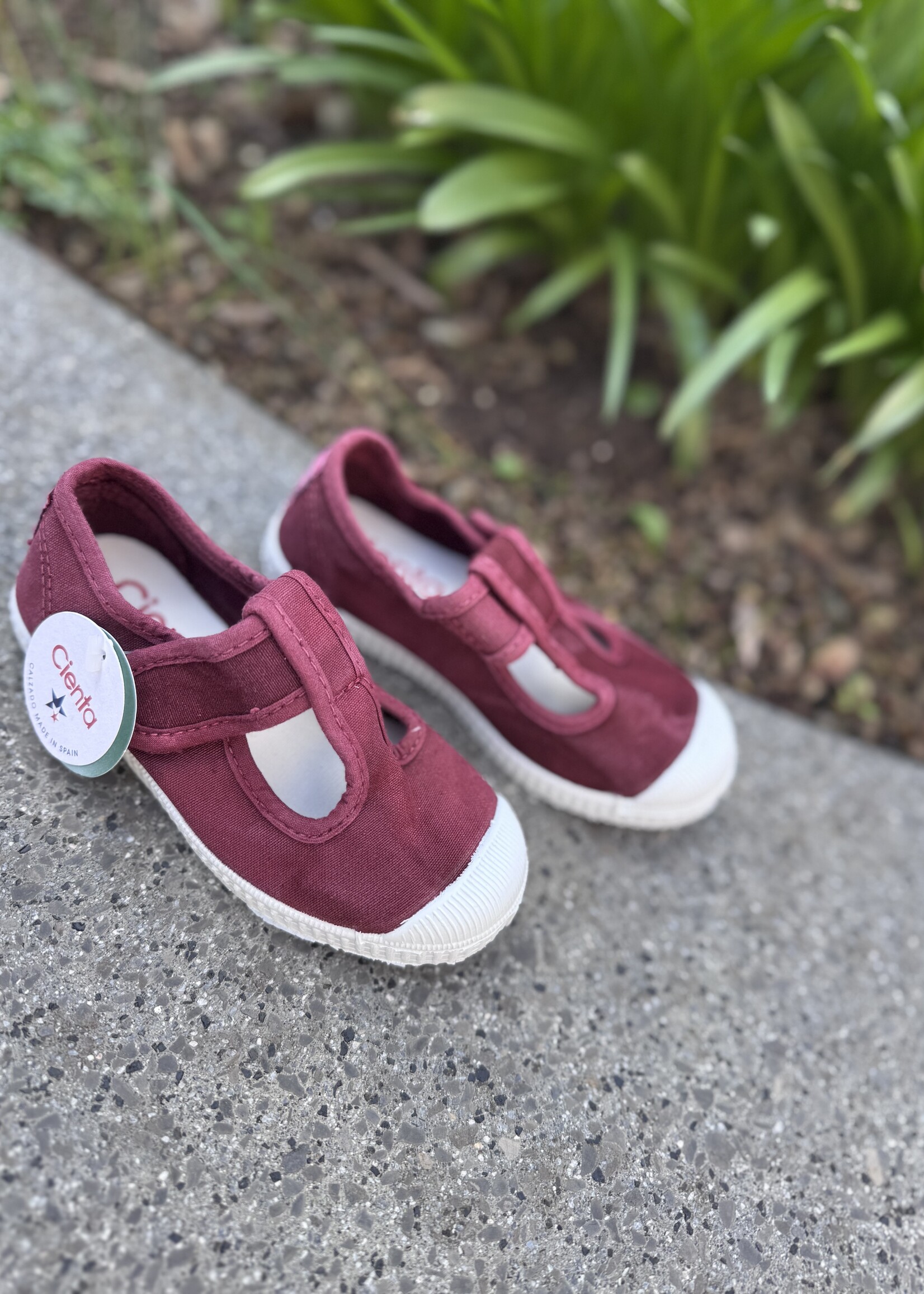 Cienta instapschoentje 1 velcro 77777