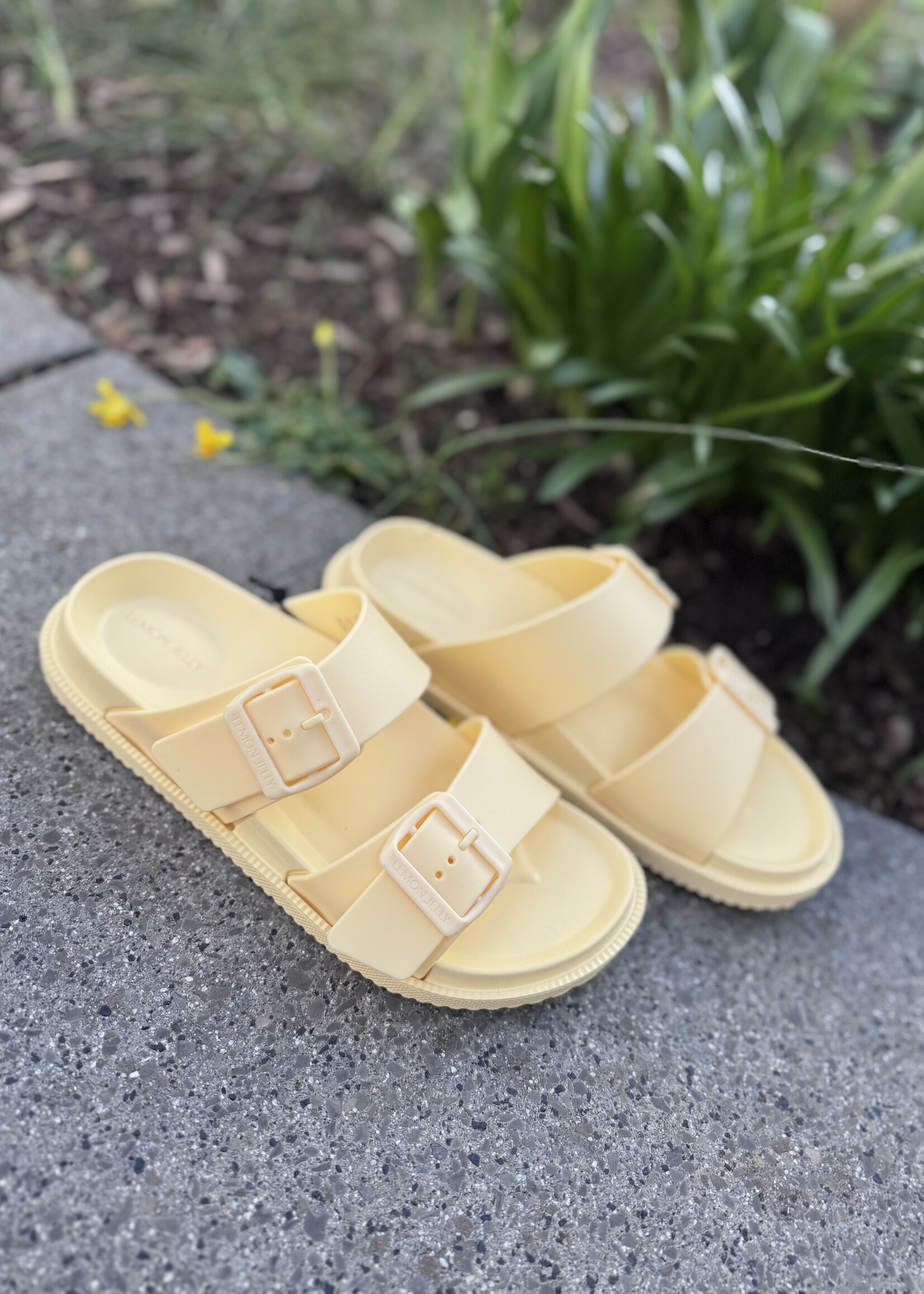 Lemon yelly Elise slipper baby yellow