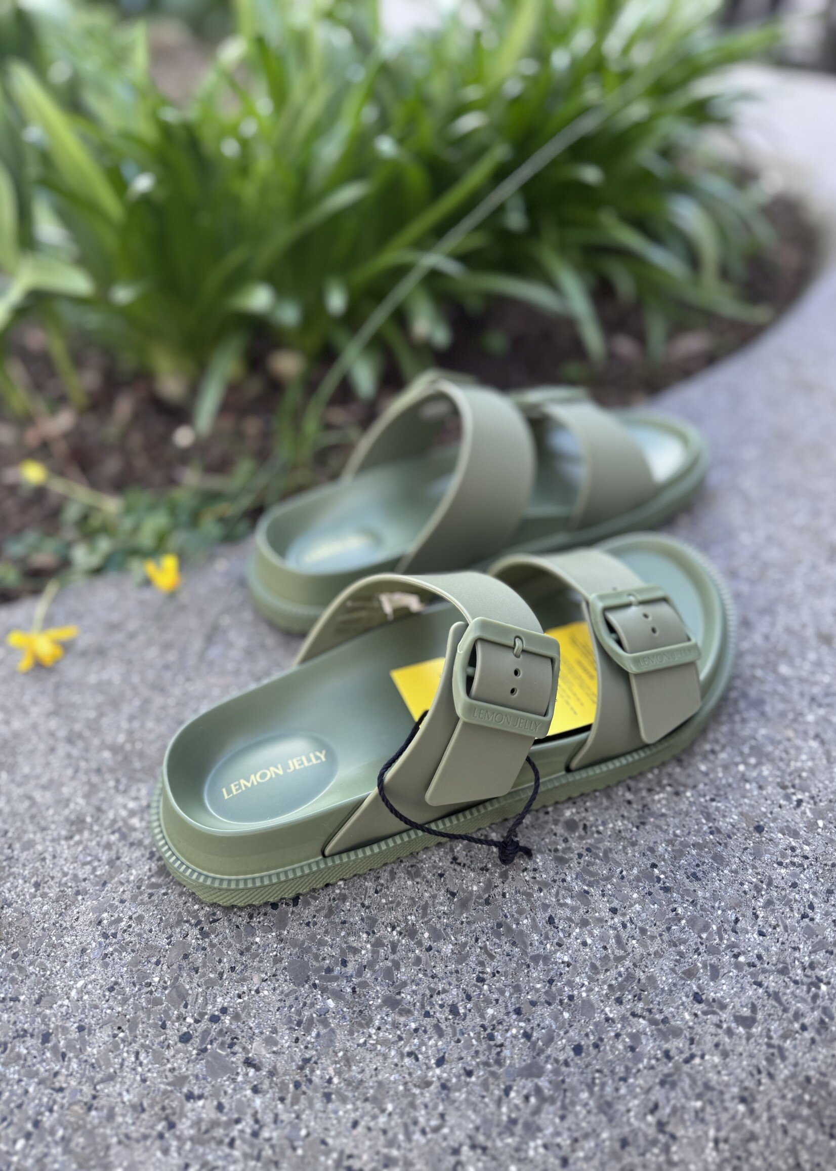 Lemon yelly Elise slipper kaki