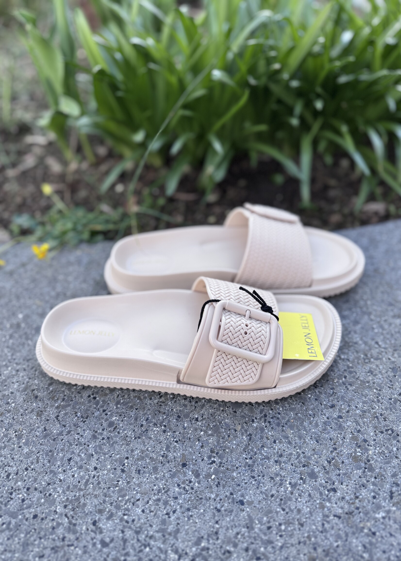 Lemon yelly Zelie slipper desert