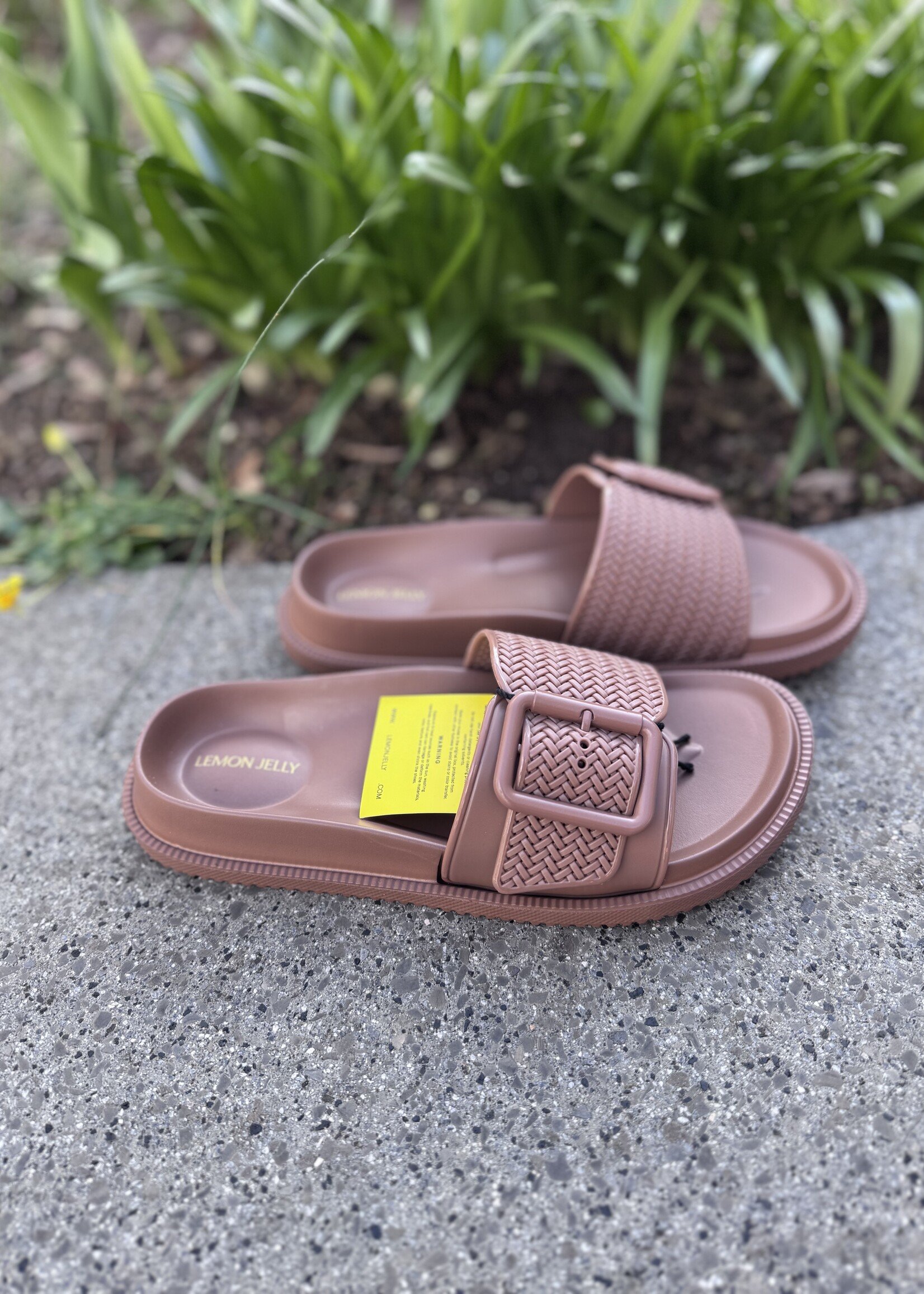 Lemon yelly Zelie slipper toasted nut