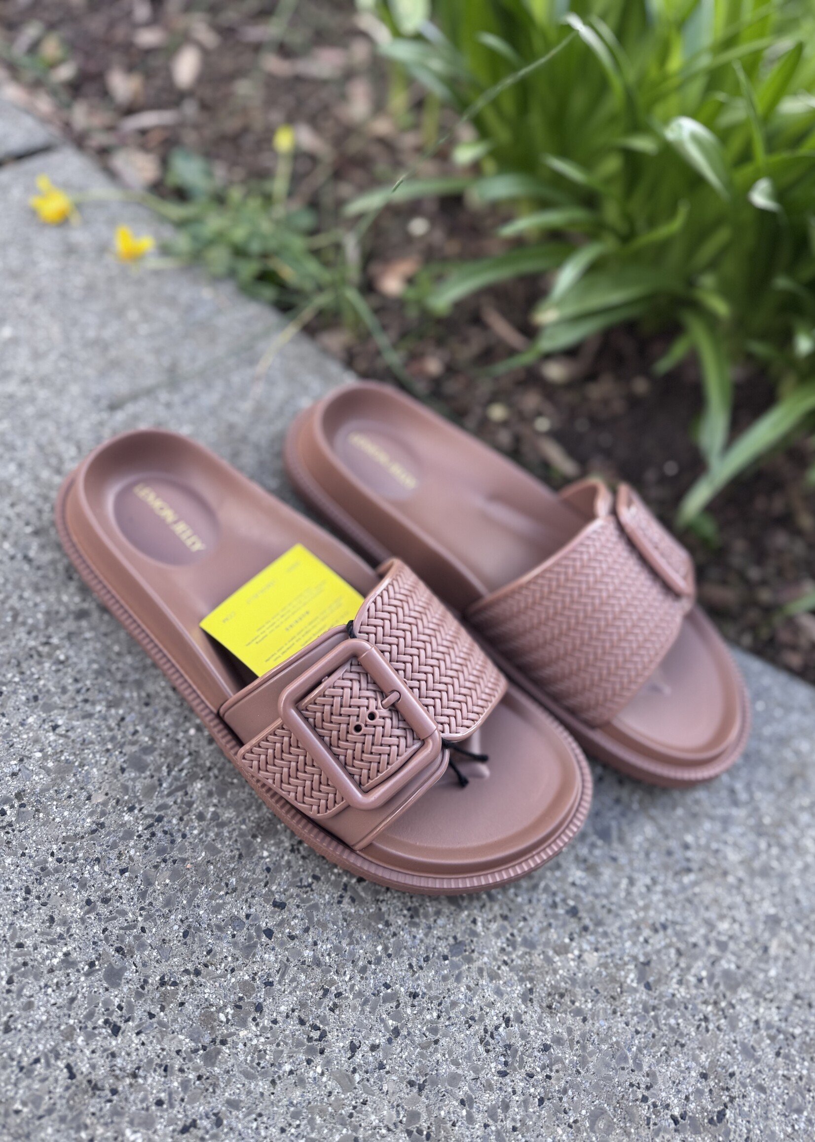 Lemon yelly Zelie slipper toasted nut