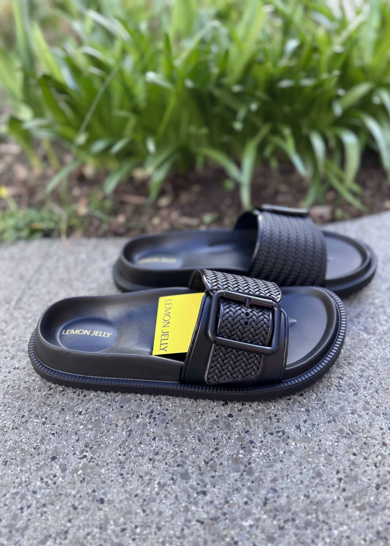 Lemon yelly Zelie slipper black