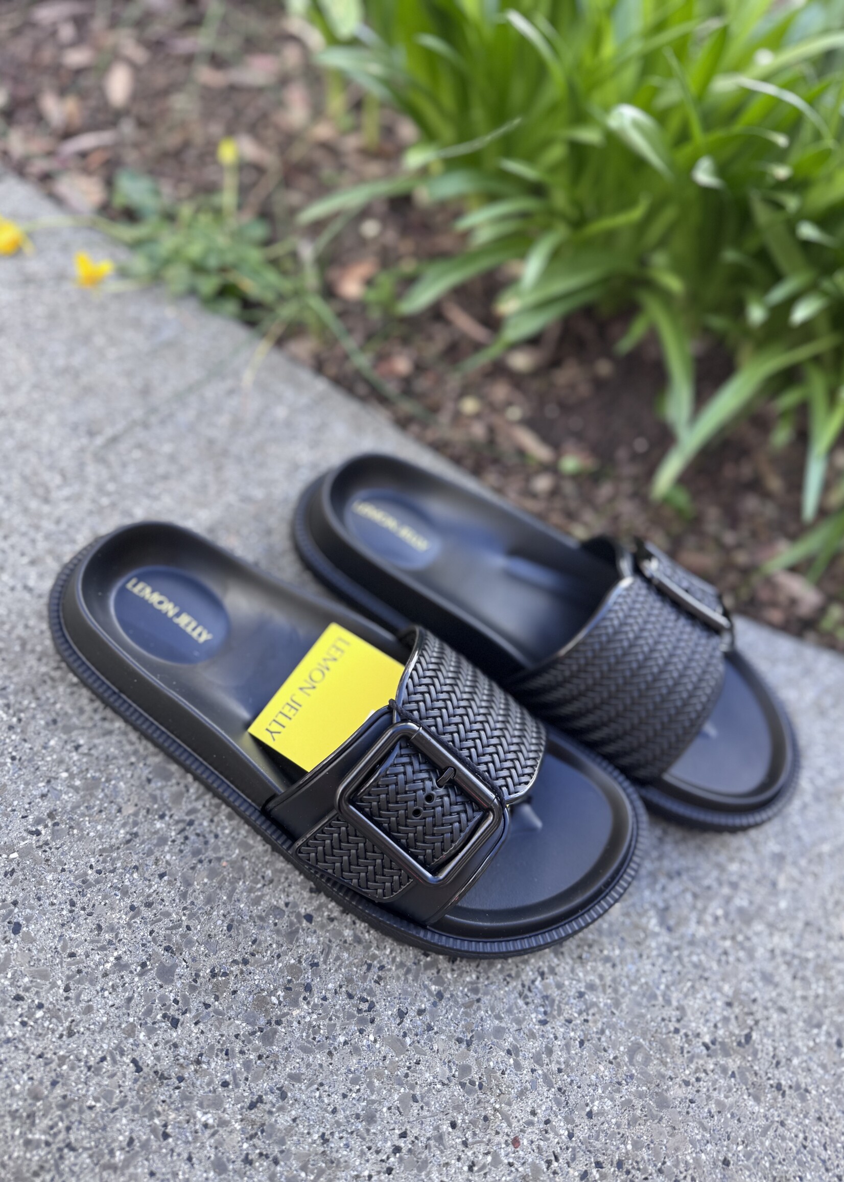 Lemon yelly Zelie slipper black