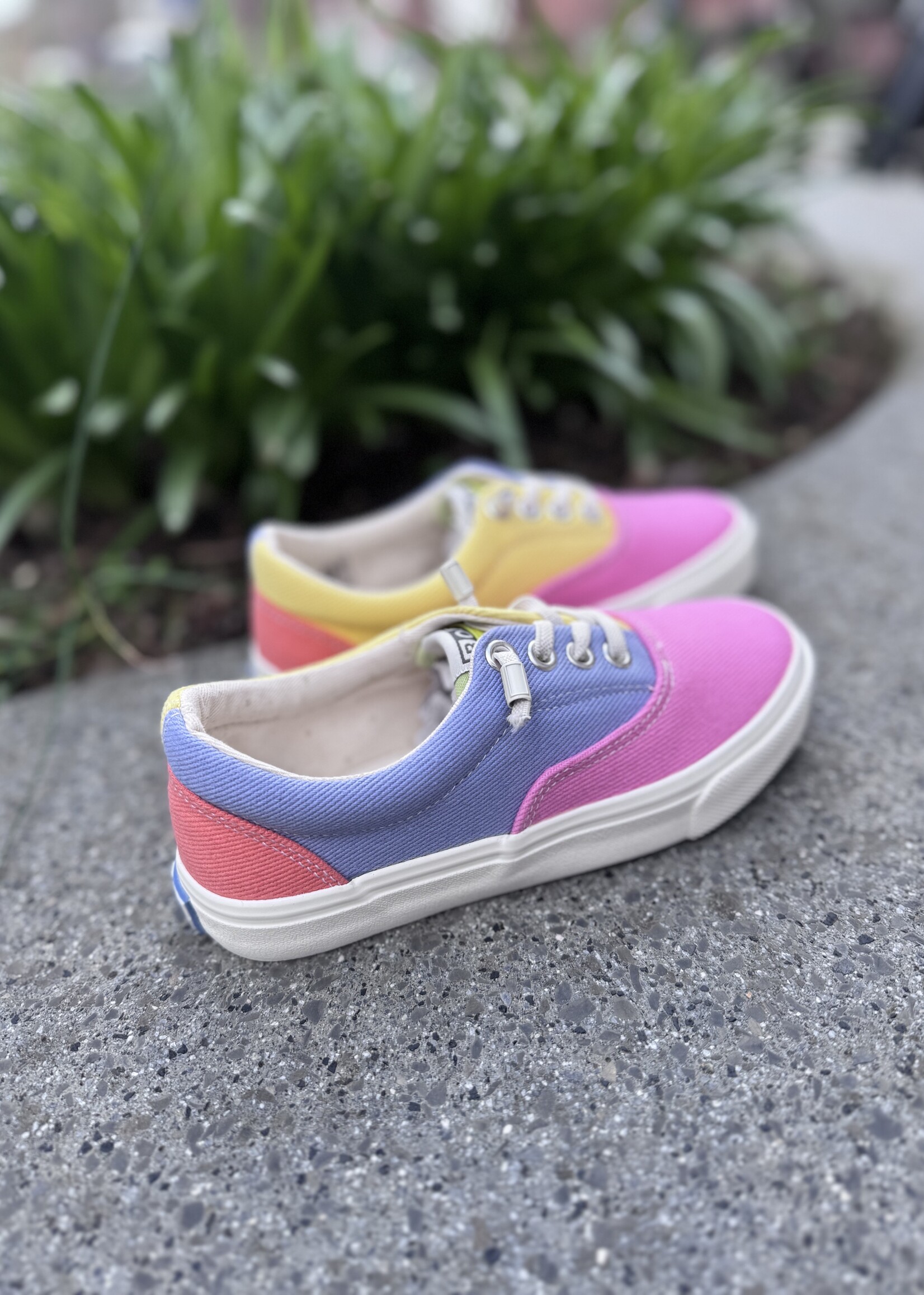 Bonton skate lace canvas multi candy pink