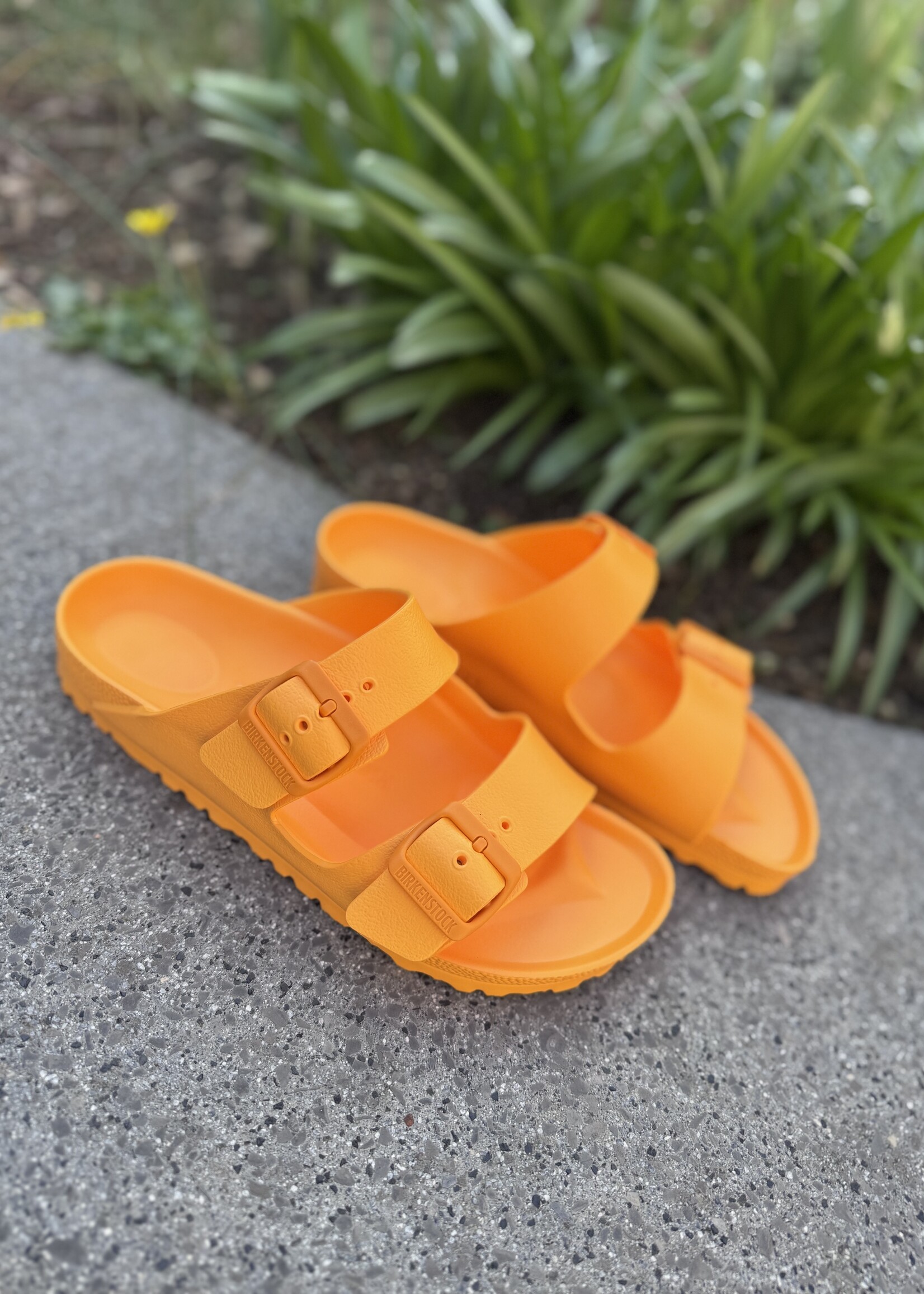 Birkenstock Arizona EVA Zinnia
