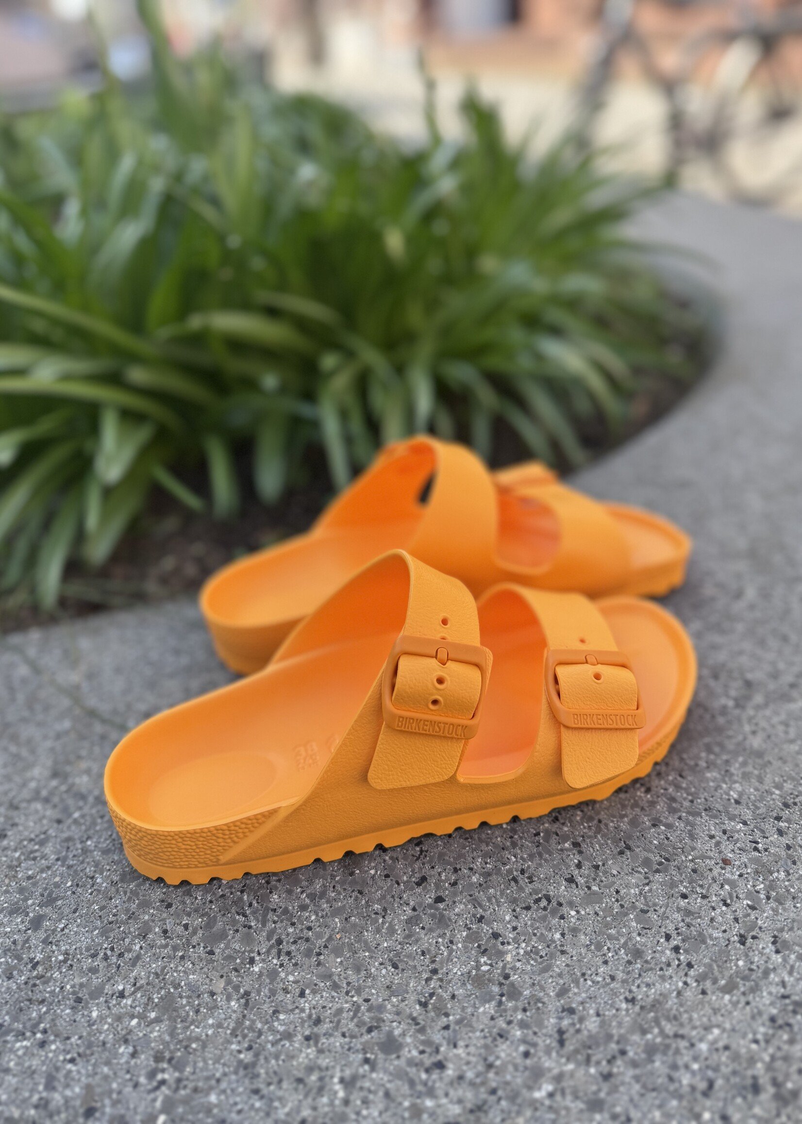 Birkenstock Arizona EVA Zinnia