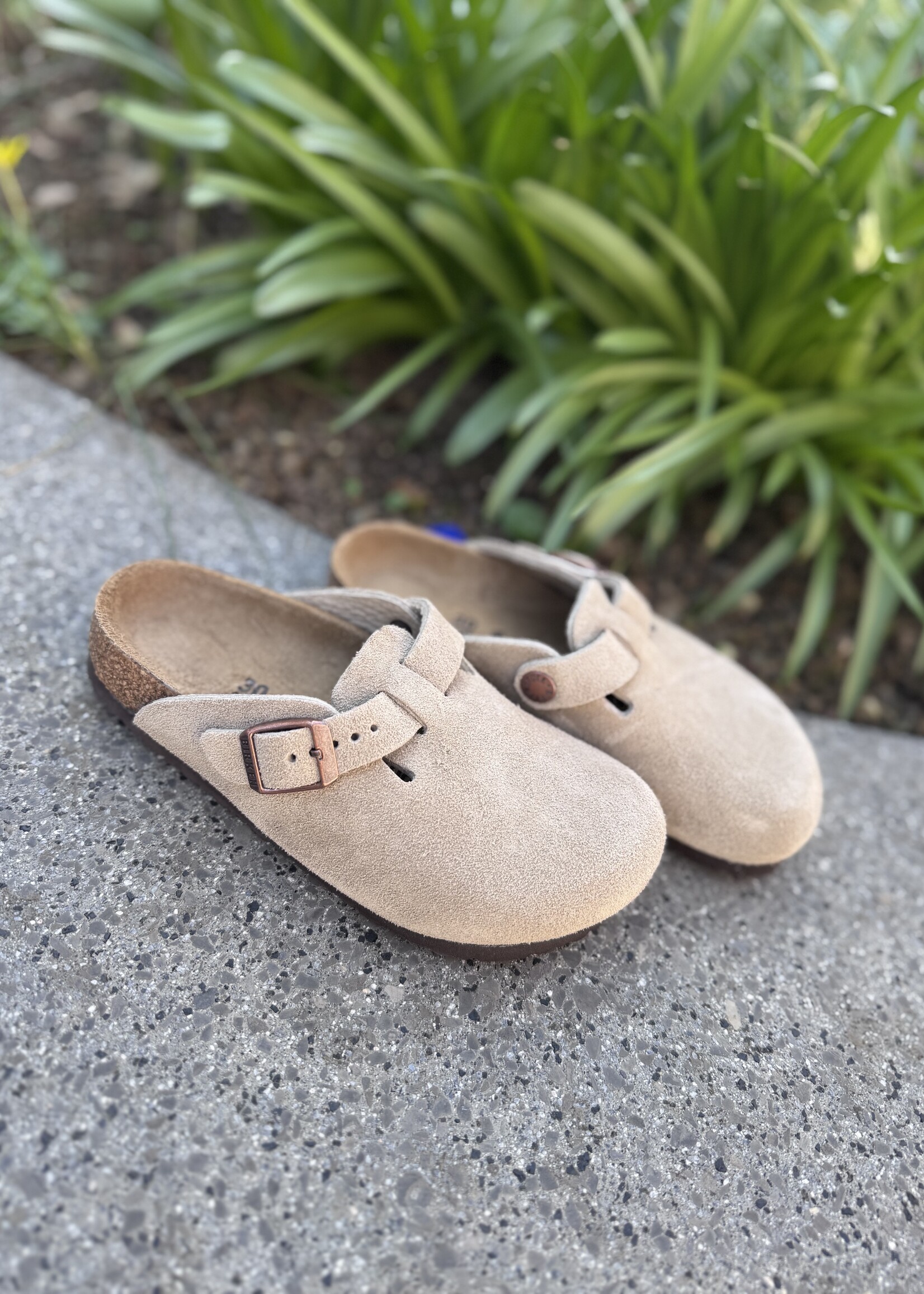Birkenstock Boston LEVE taupe