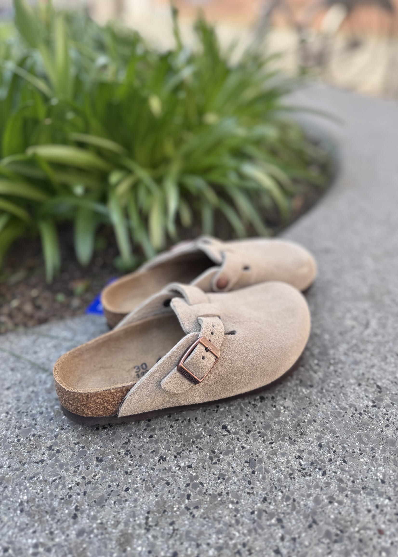 Birkenstock Boston LEVE taupe
