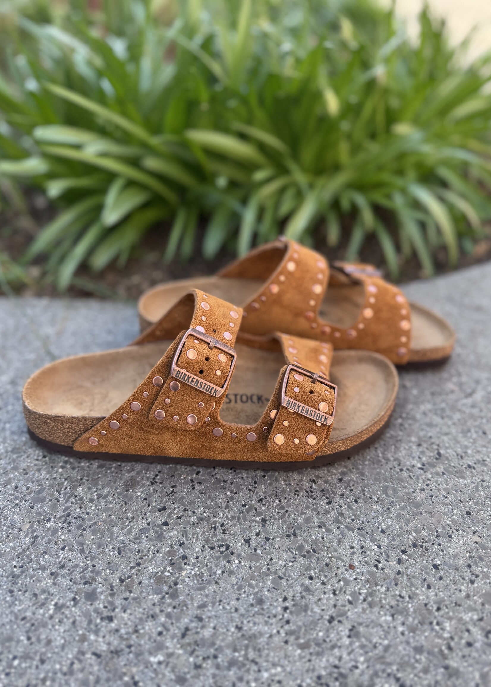 Birkenstock Arizona Rivet LEVE mink