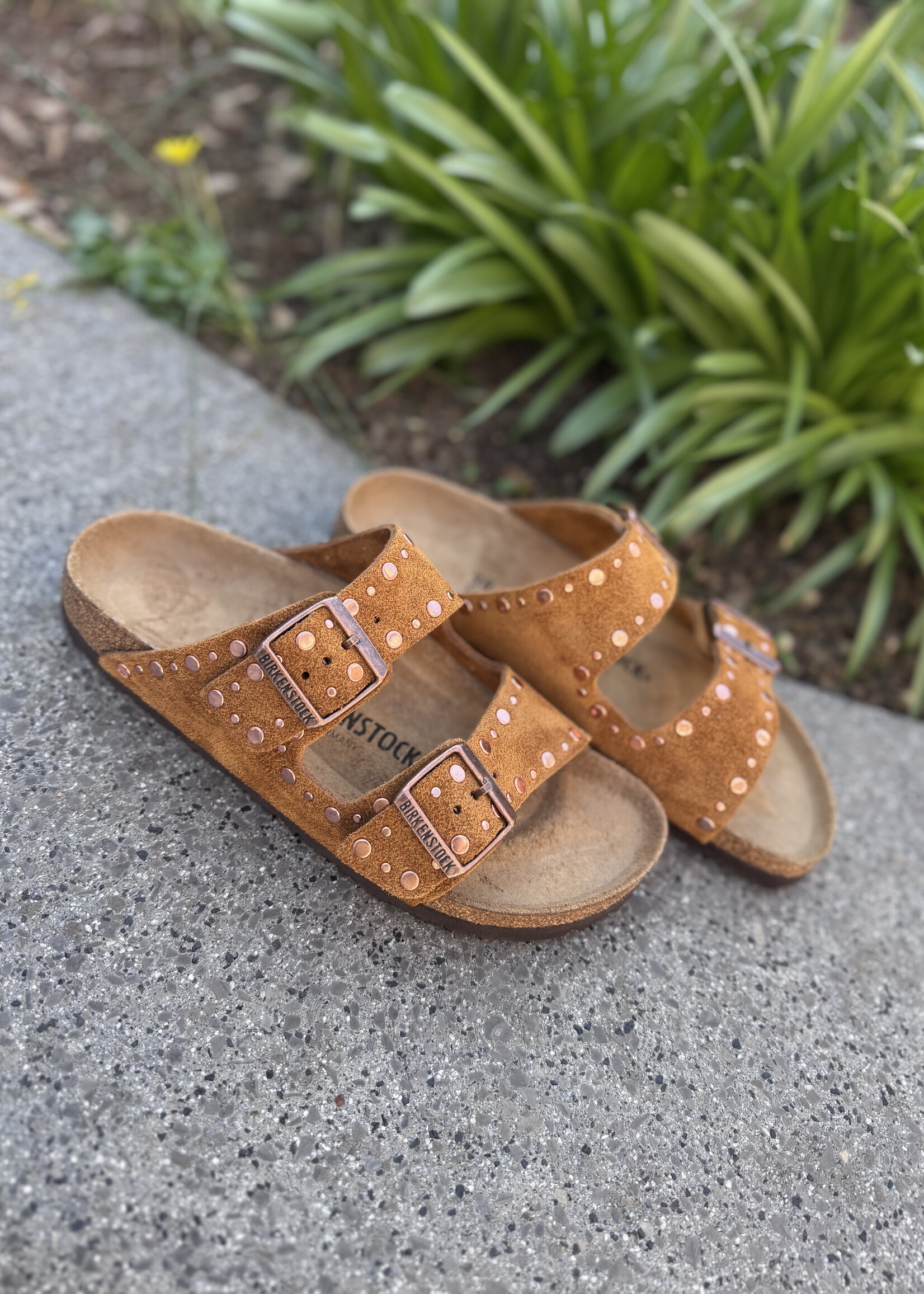 Birkenstock Arizona Rivet LEVE mink