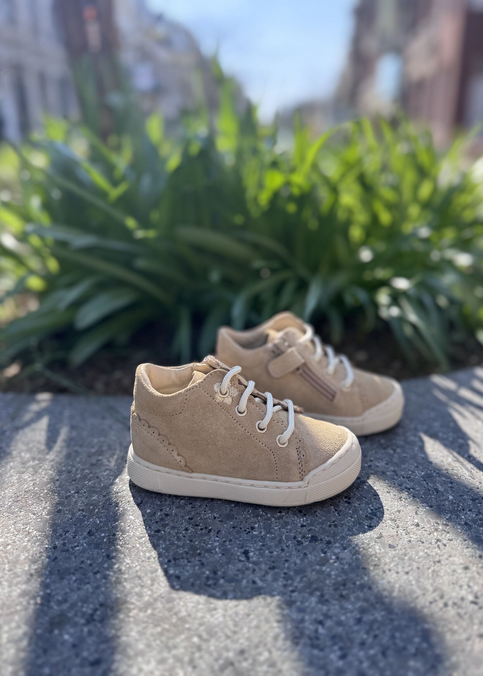 Falcotto Ateny zip suede sand