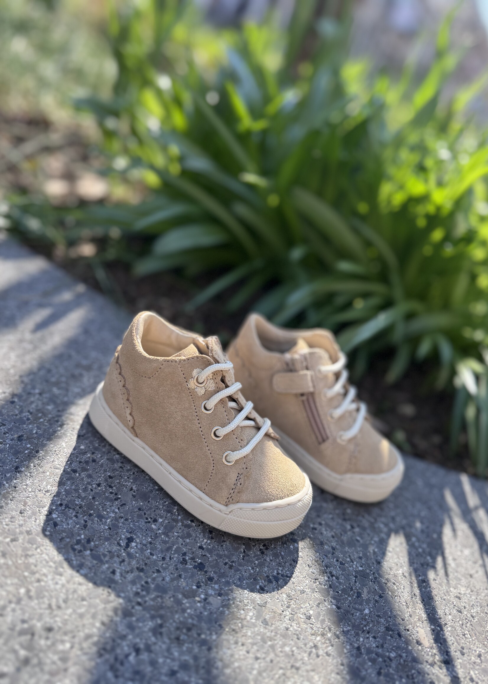 Falcotto Ateny zip suede sand