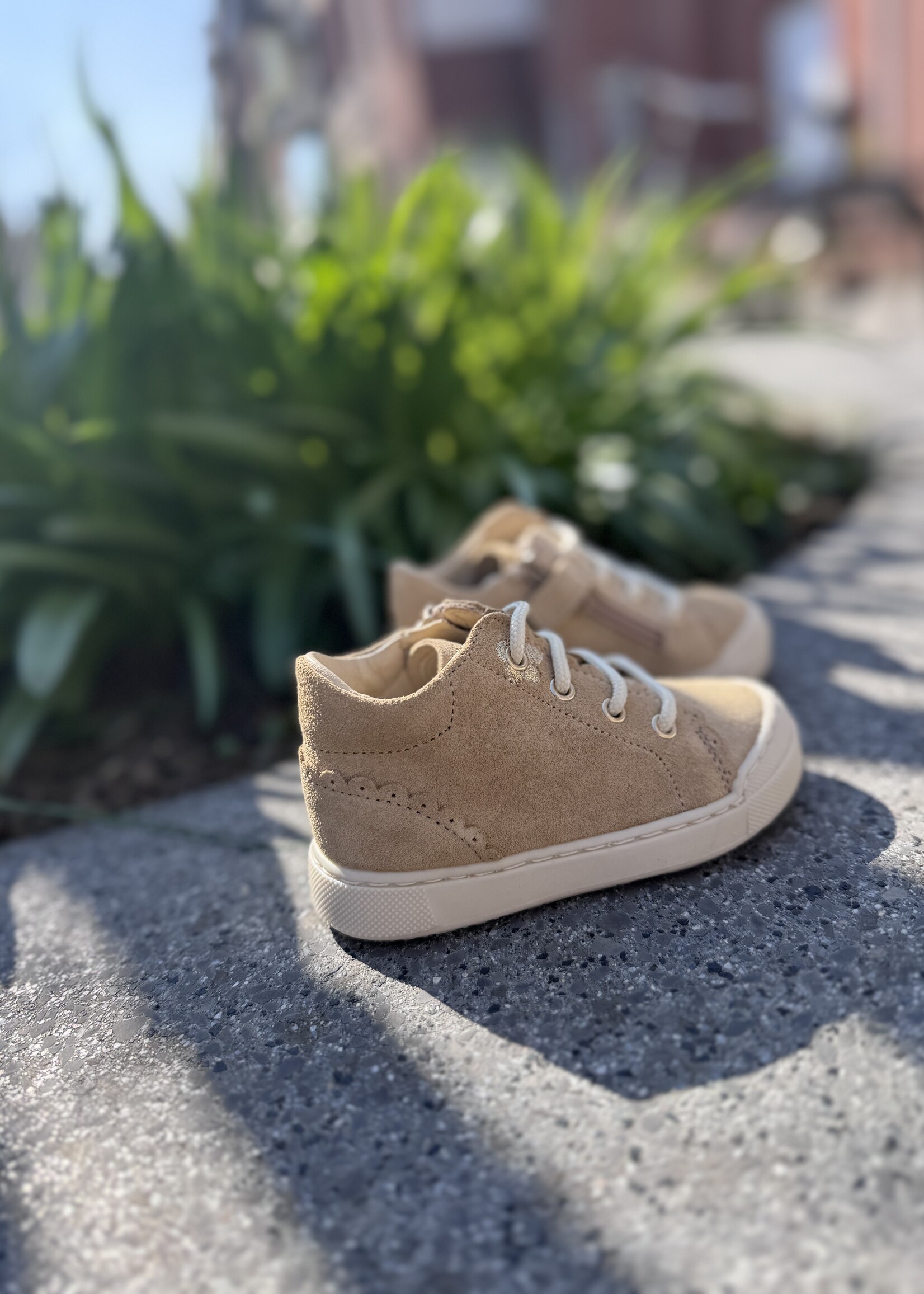 Falcotto Ateny zip suede sand