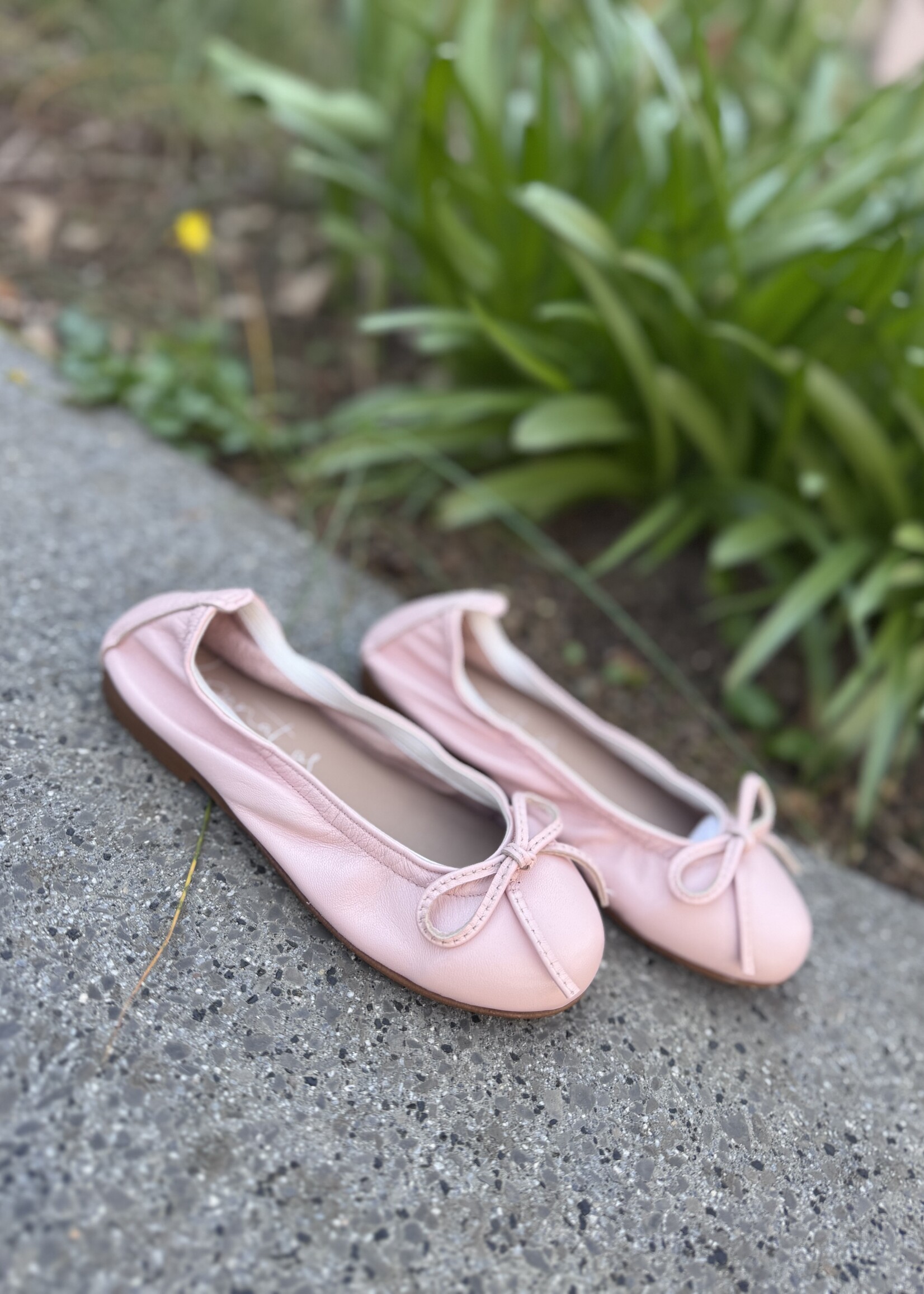 Eli 9127 ballerina maquillaje