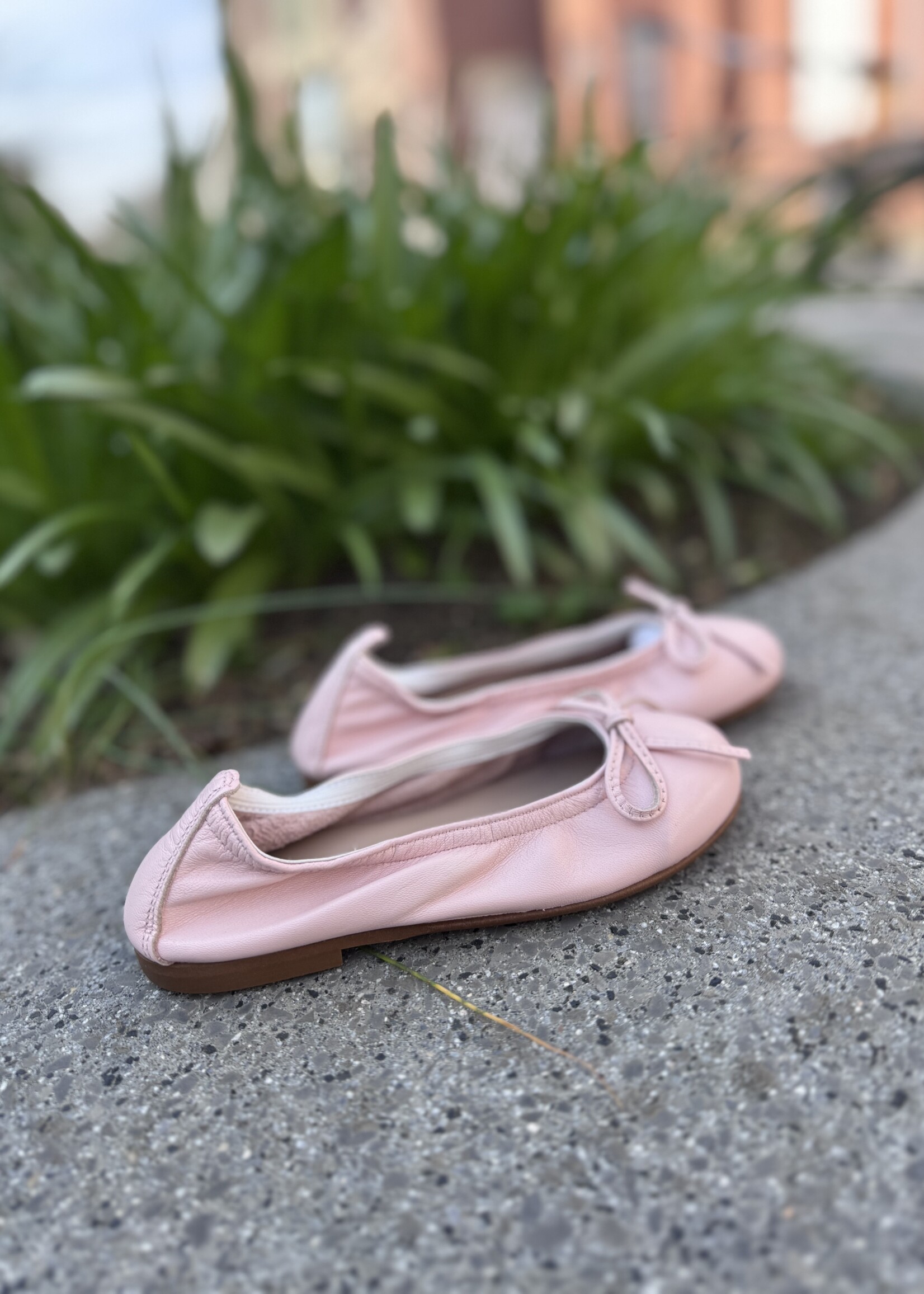 Eli 9127 ballerina maquillaje