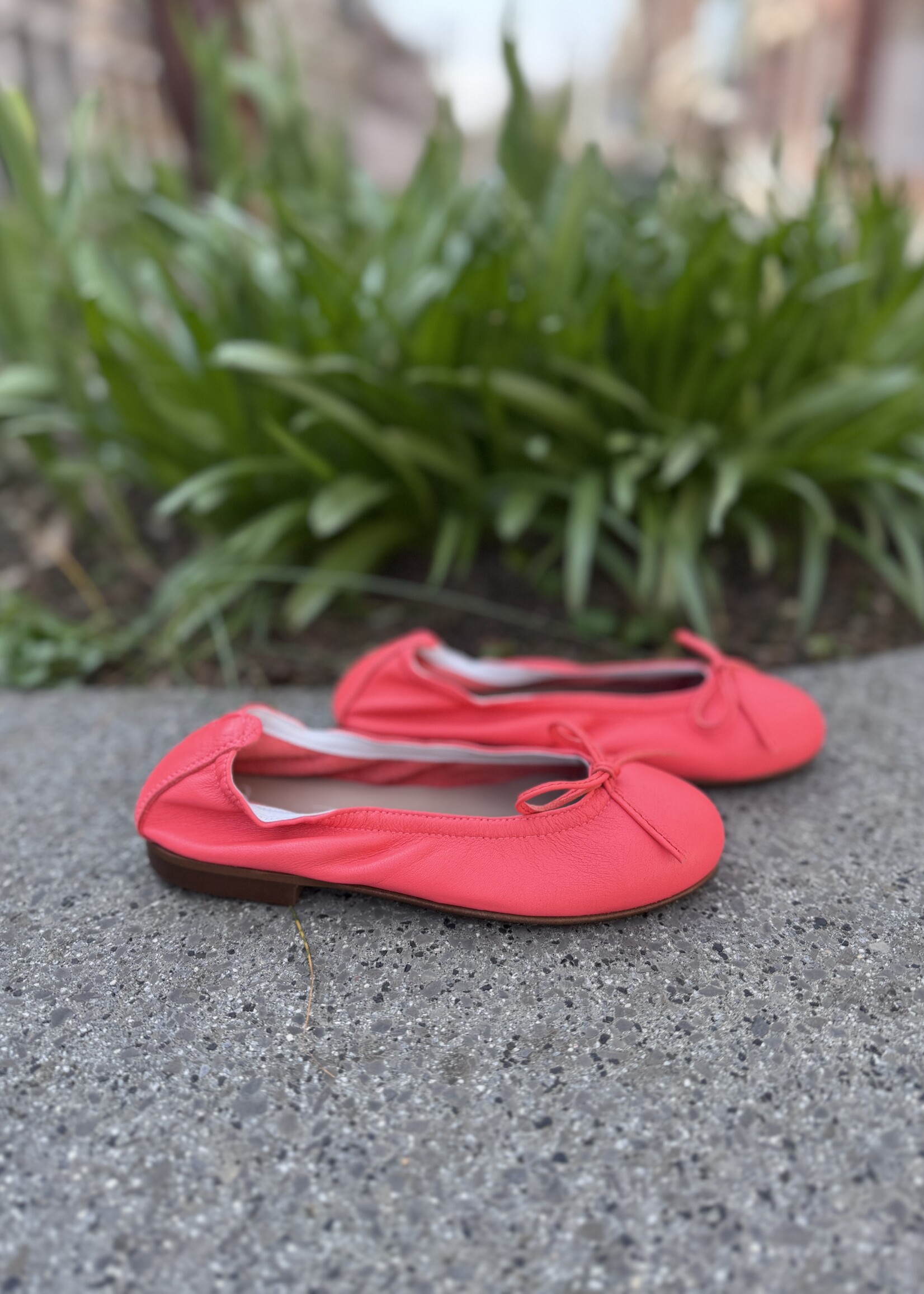 Eli 9127 ballerina coral