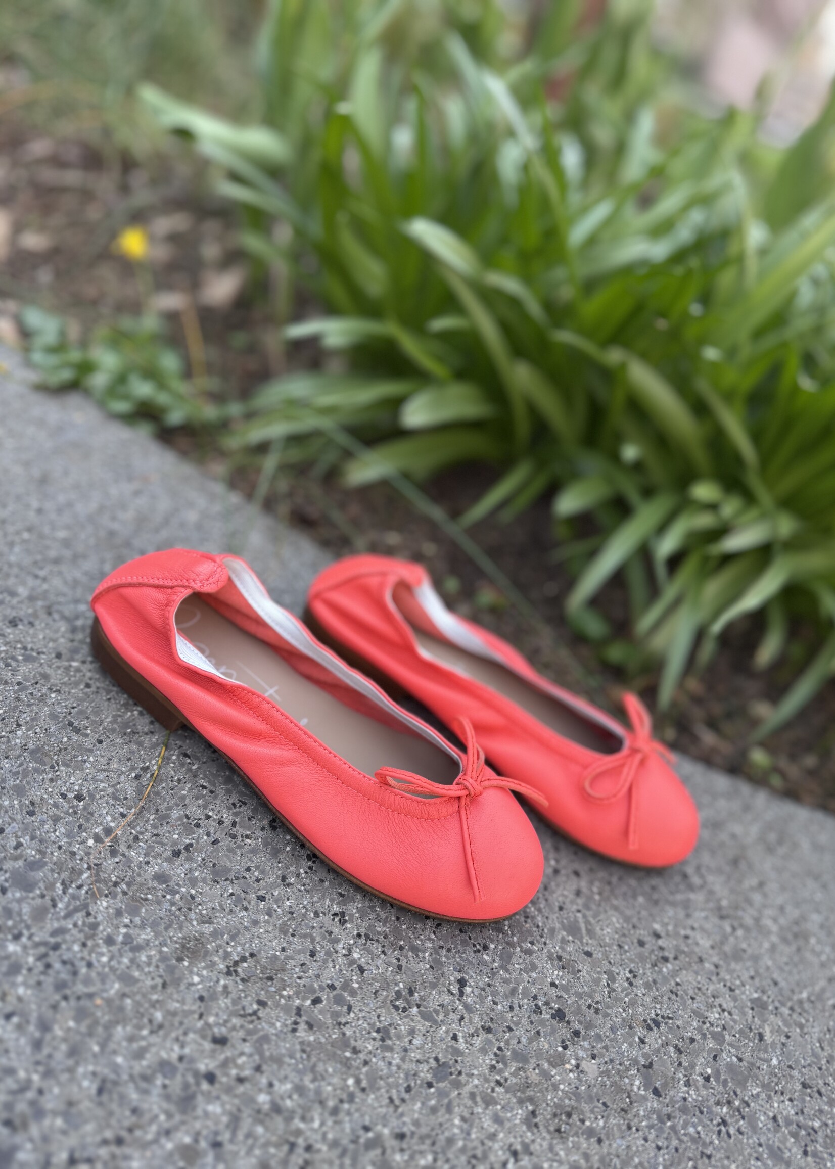 Eli 9127 ballerina coral