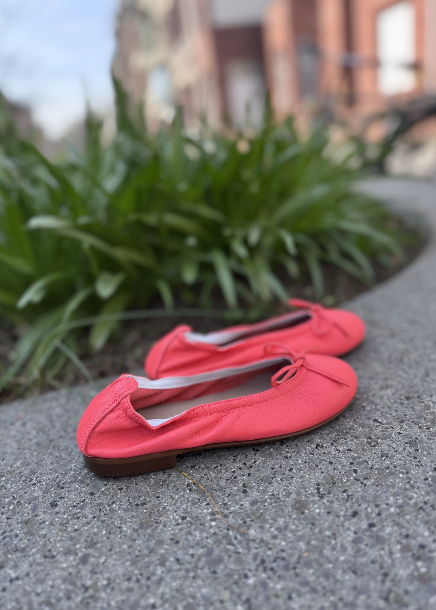 Eli 9127 ballerina coral