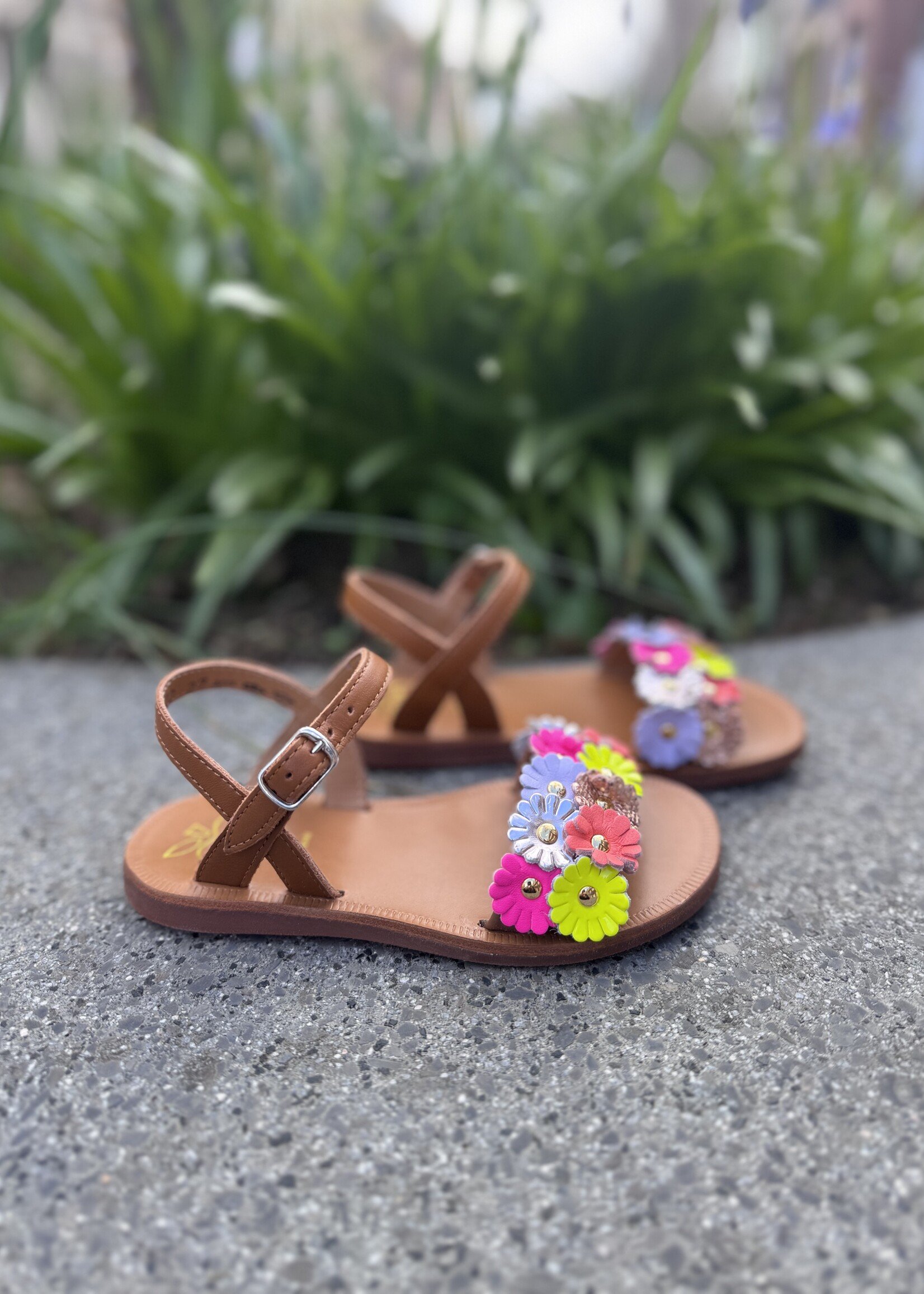 Pom d'api plagette multi flo nappa cuero multi