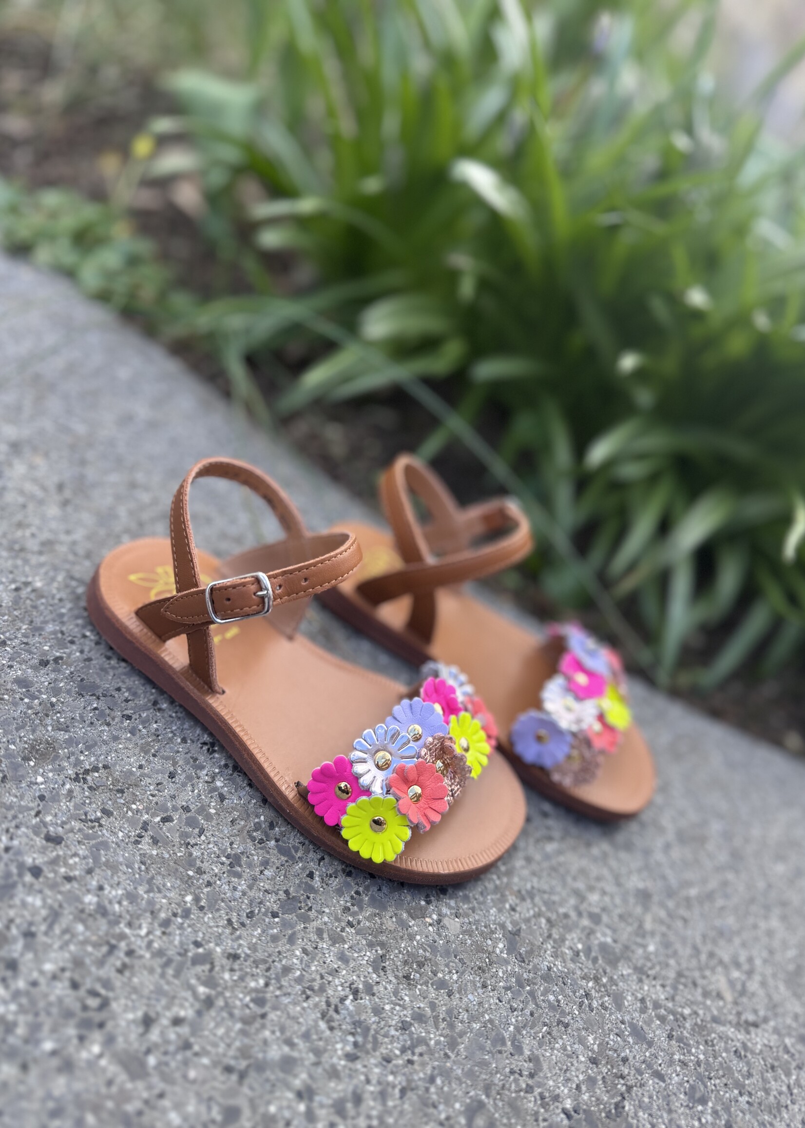 Pom d'api plagette multi flo nappa cuero multi