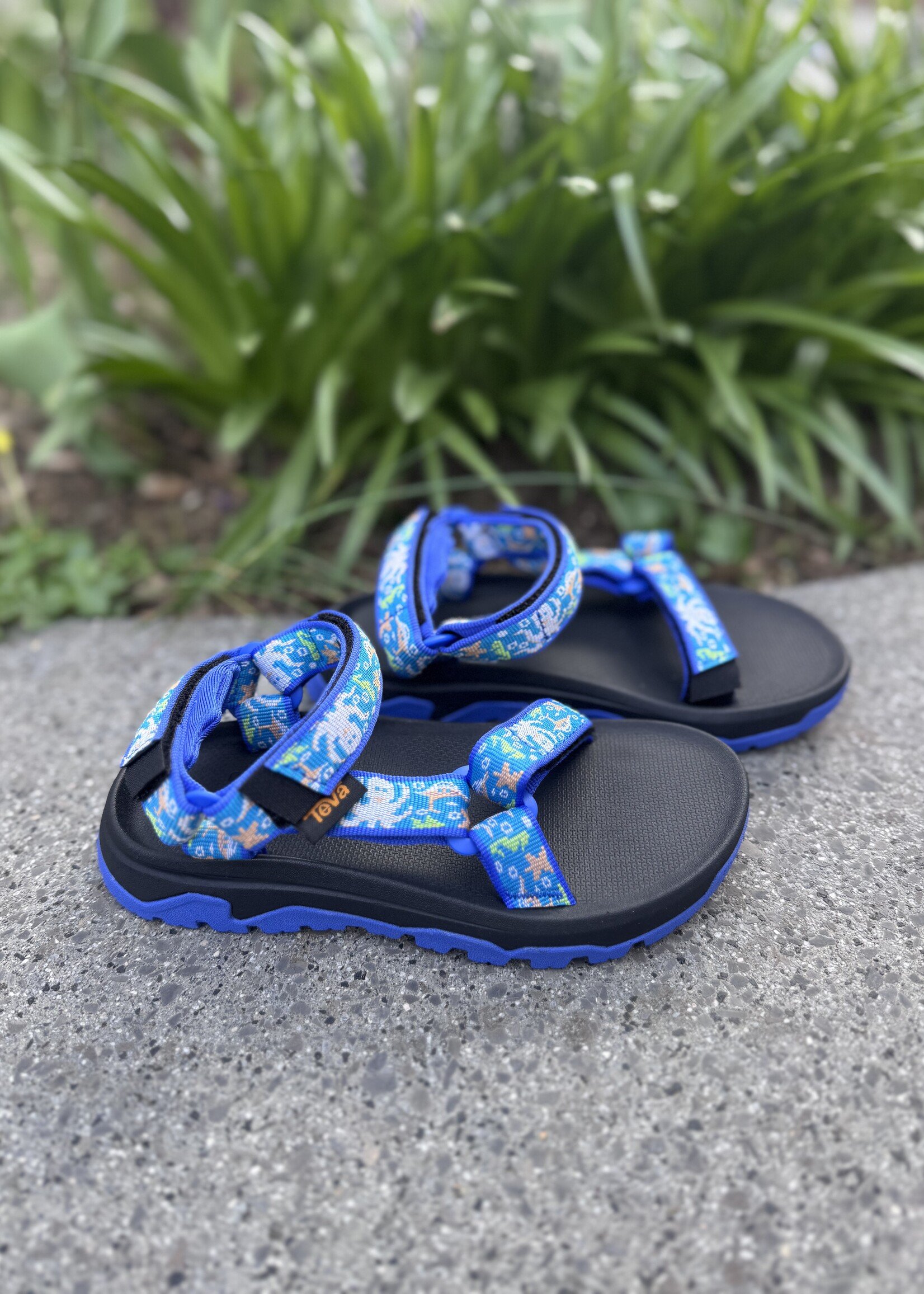 TEVA hurricane xlt ocean creatures