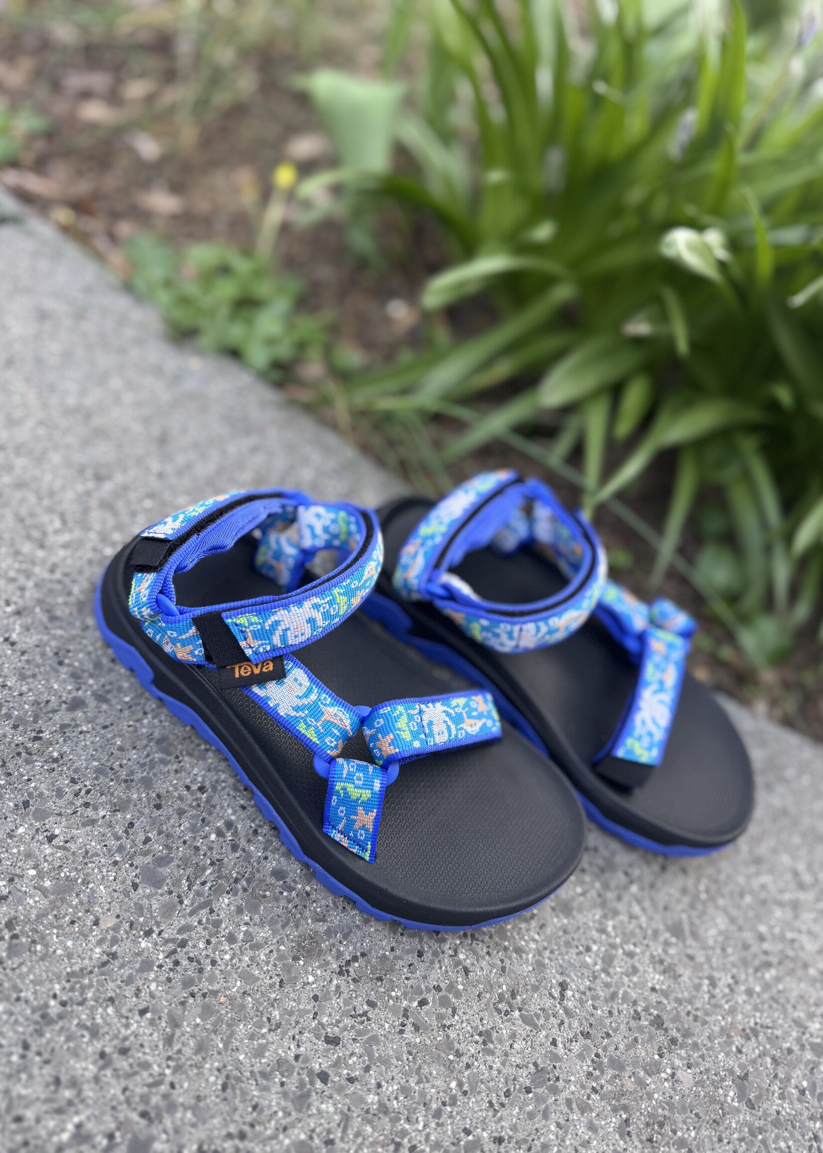 TEVA hurricane xlt ocean creatures