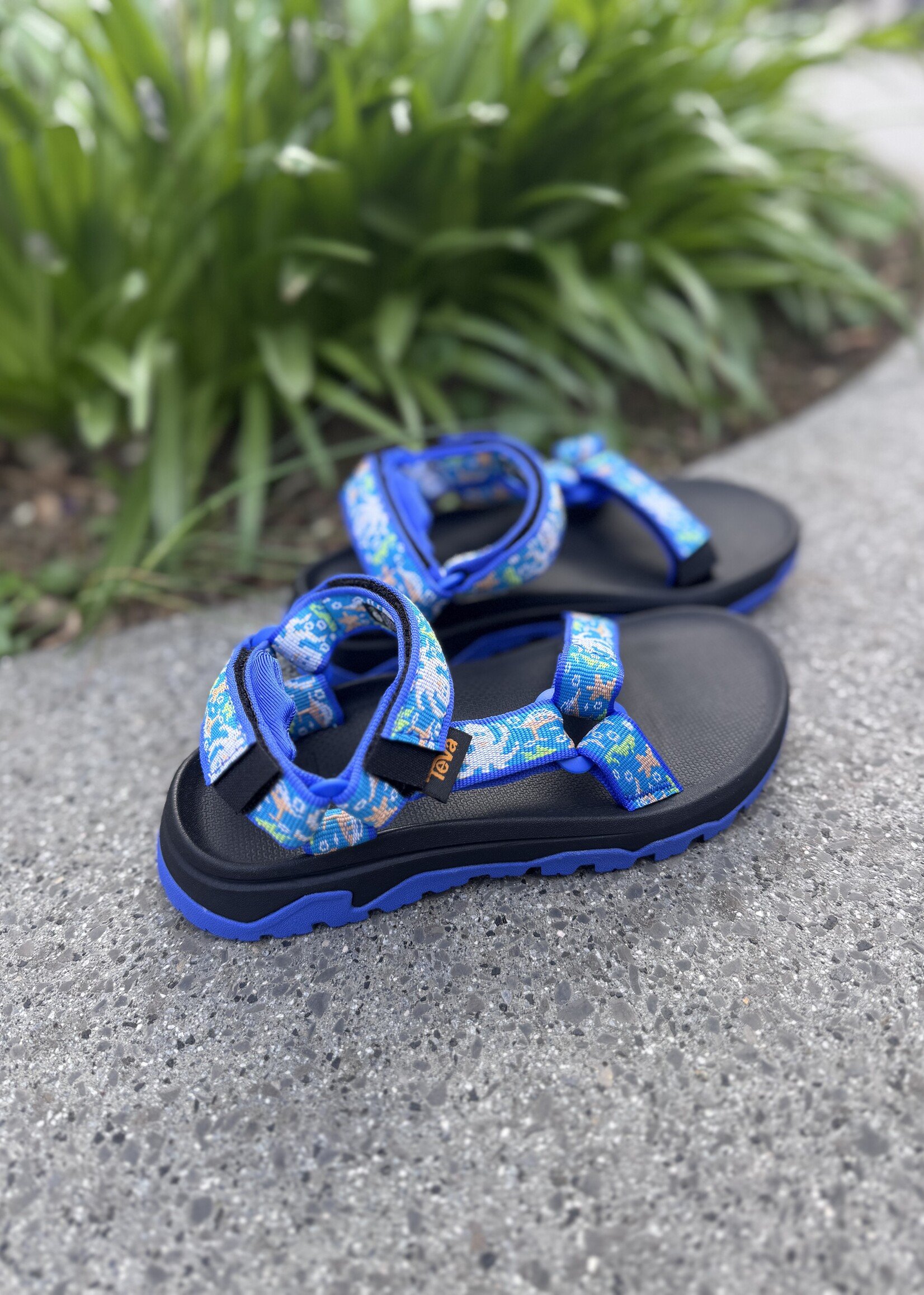 TEVA hurricane xlt ocean creatures