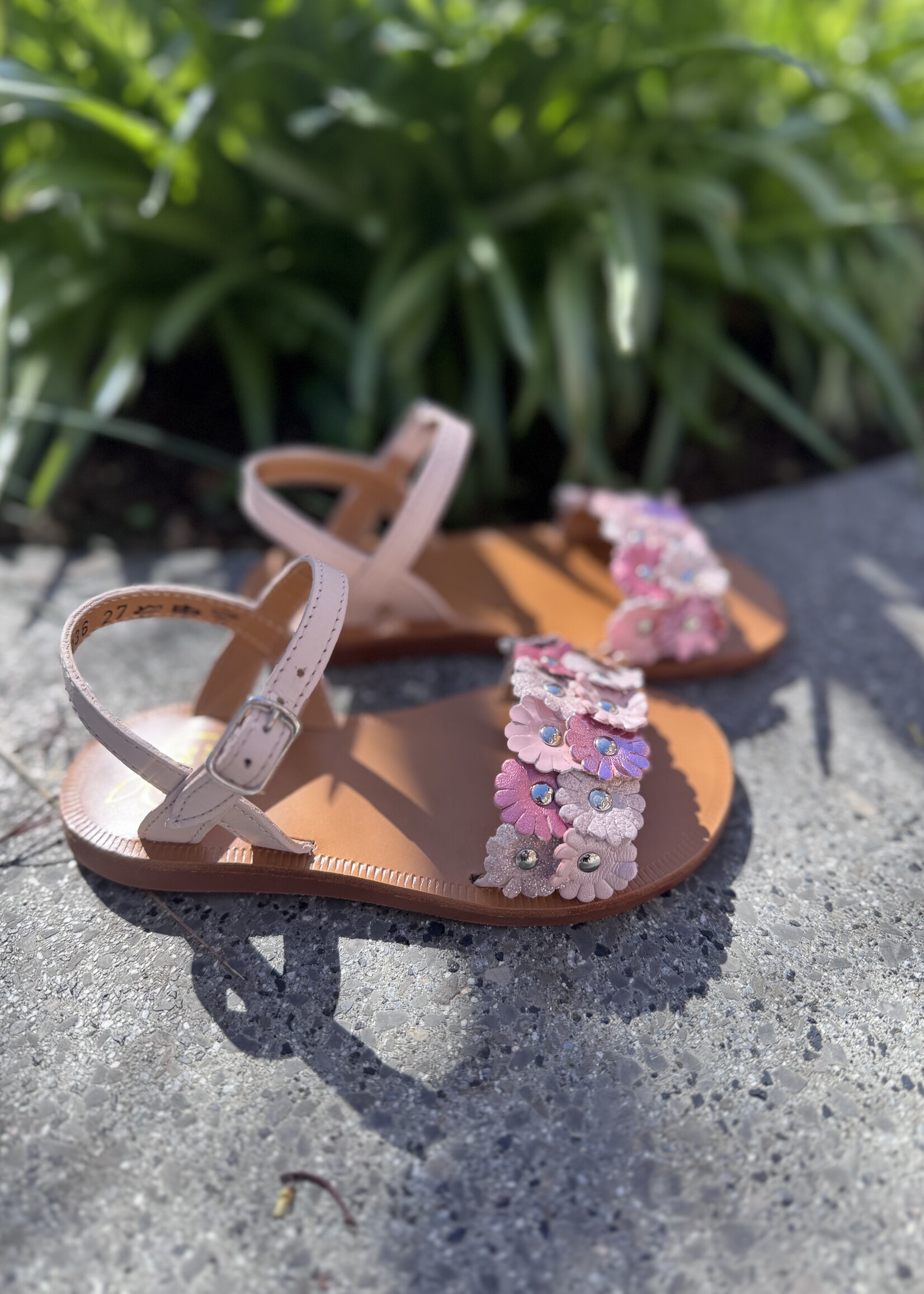Pom d'api plagette multi flo nappa pink panther multi