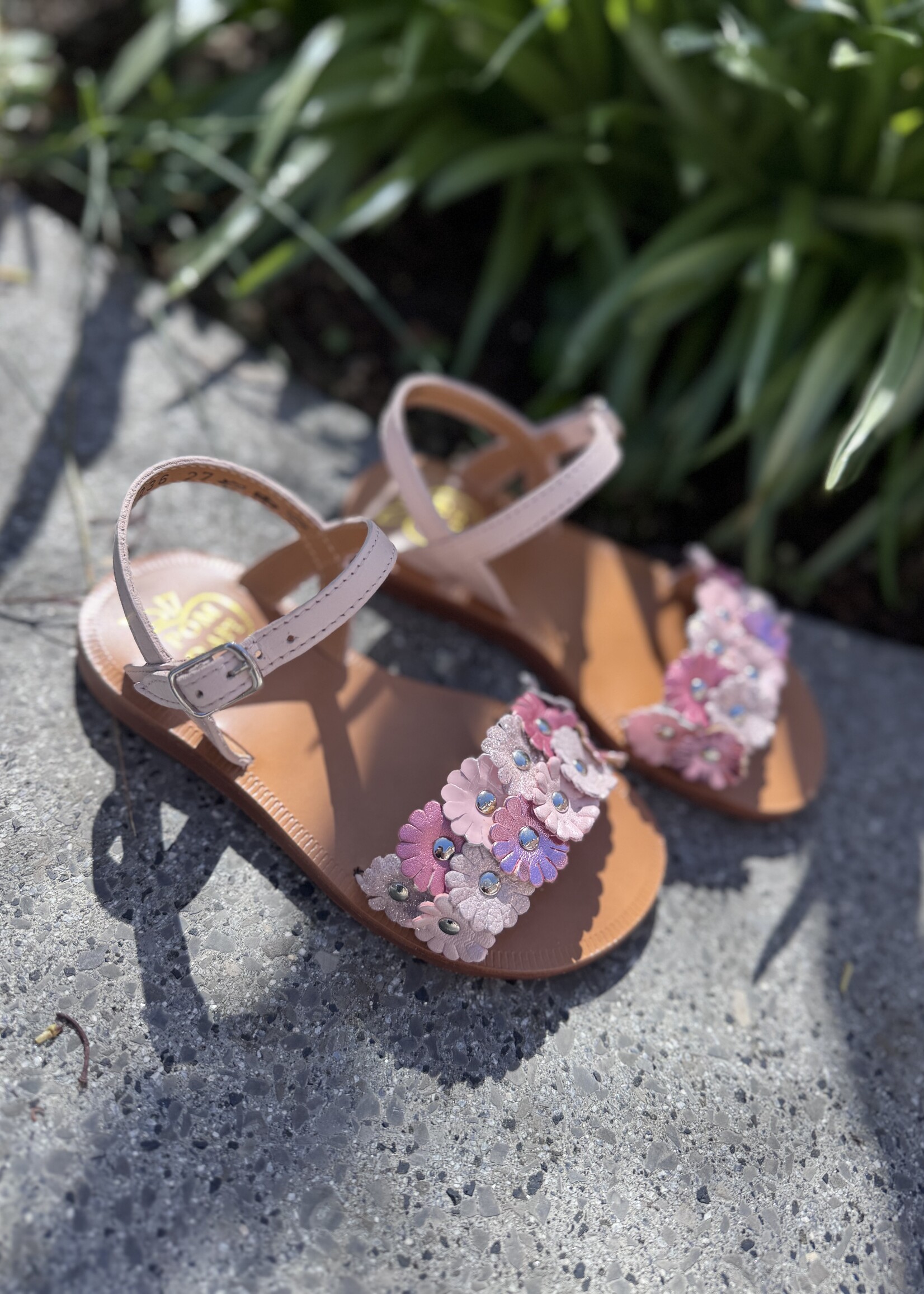 Pom d'api plagette multi flo nappa pink panther multi