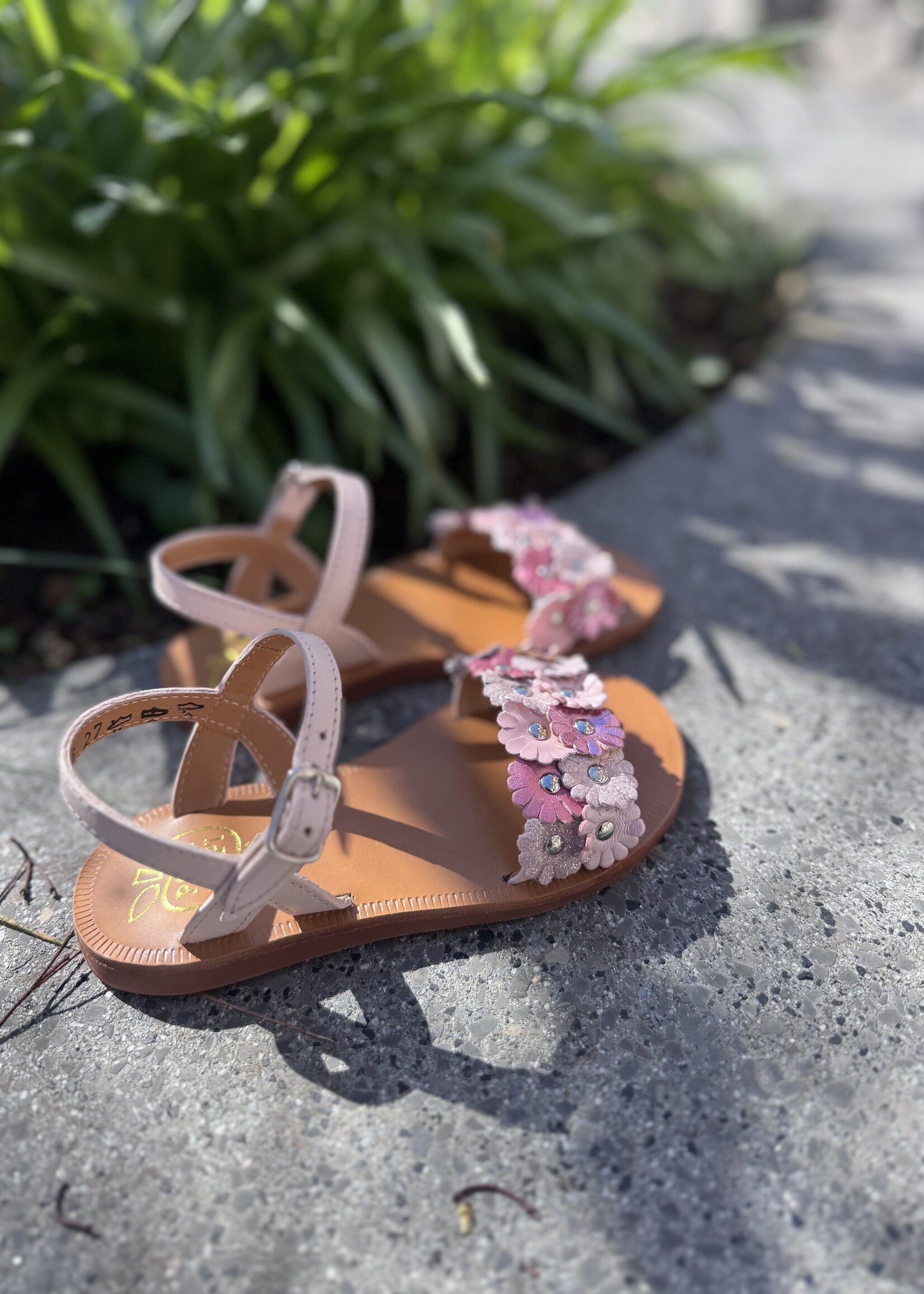 Pom d'api plagette multi flo nappa pink panther multi