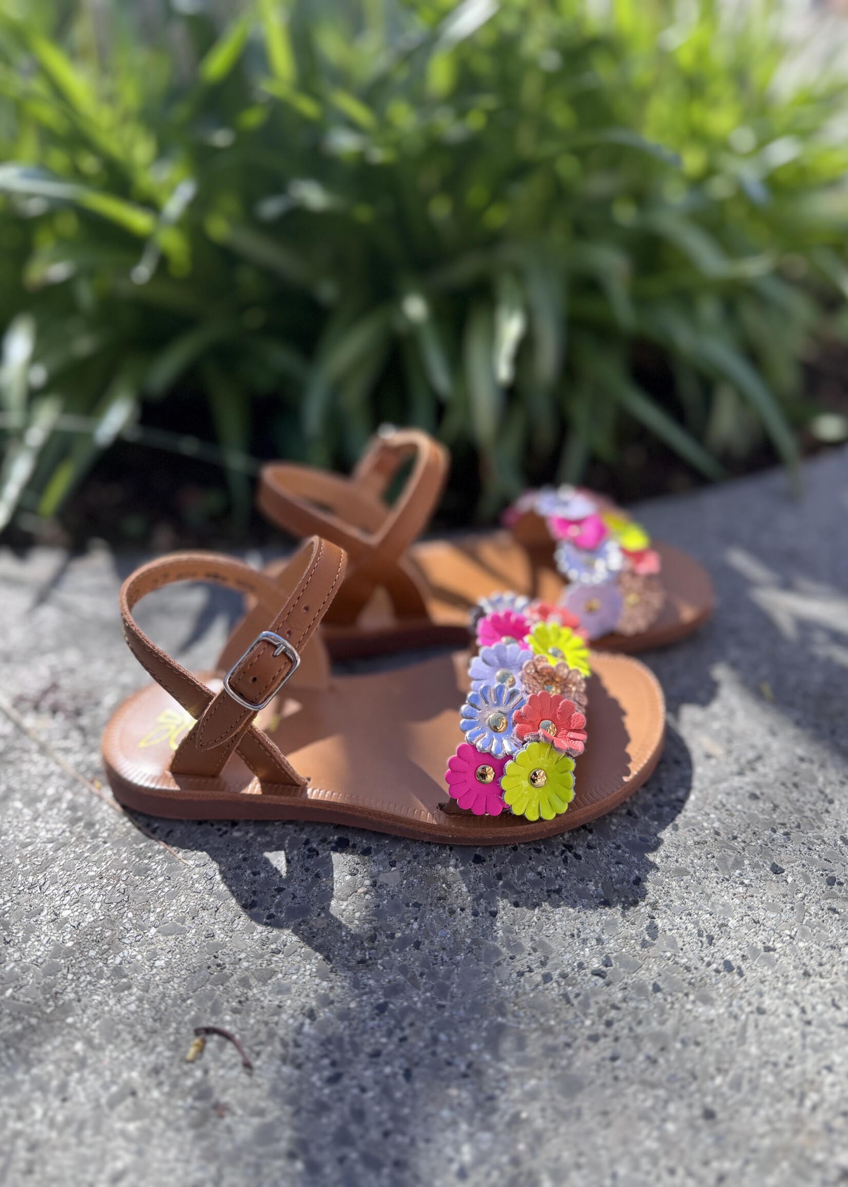 Pom d'api plagette multi flo nappa cuero multi