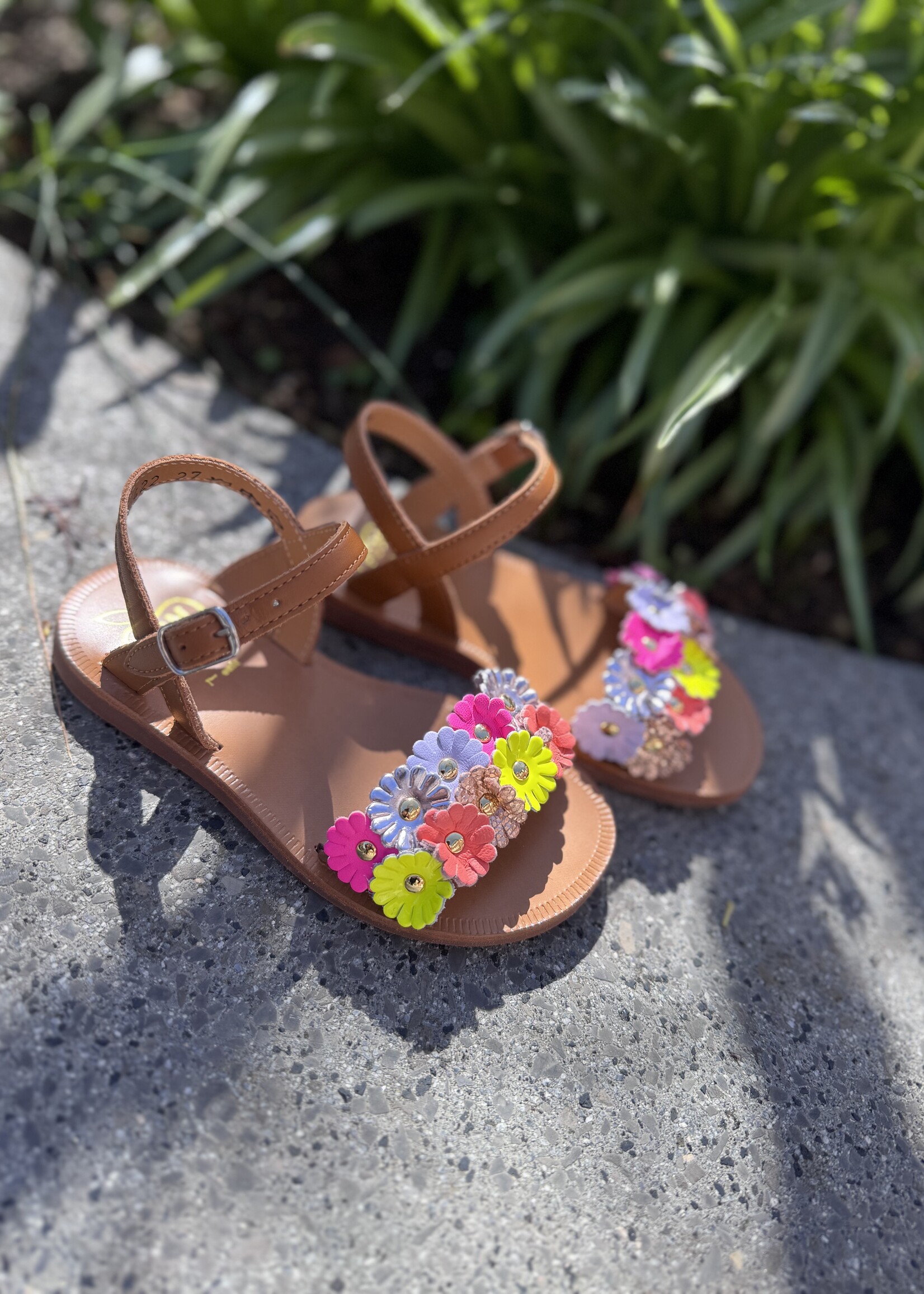 Pom d'api plagette multi flo nappa cuero multi