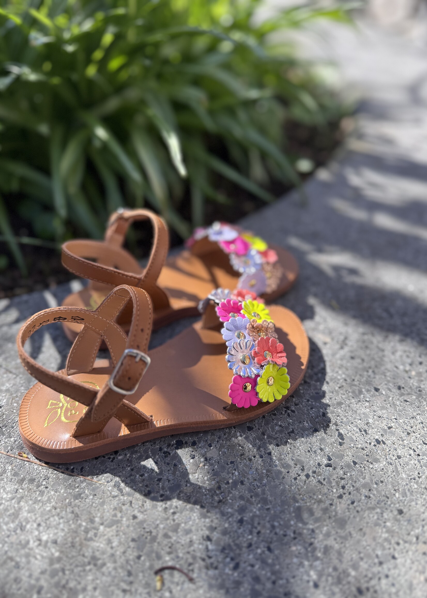 Pom d'api plagette multi flo nappa cuero multi