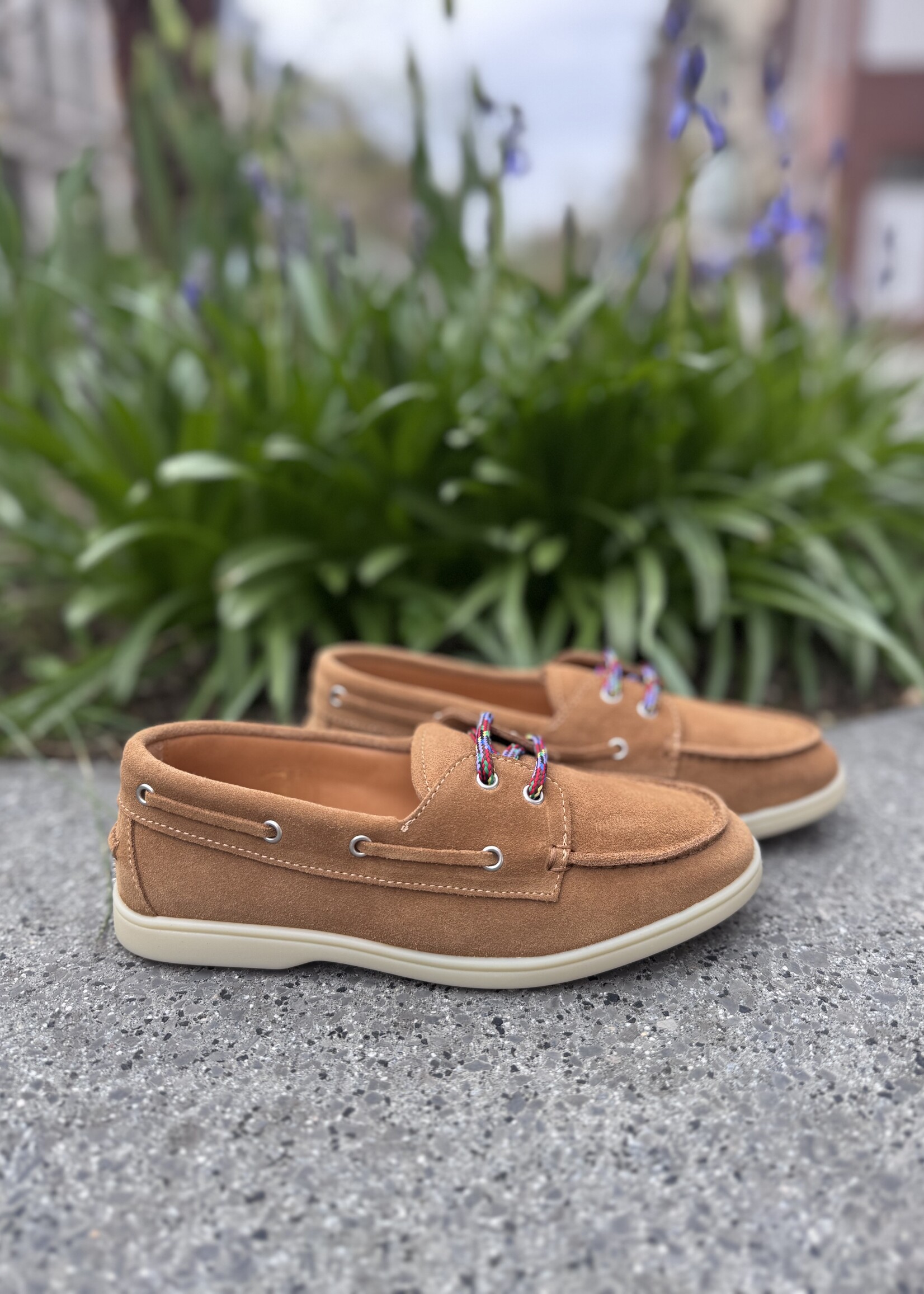 Gallucci J20569ASBSLB34Q Camel multicolor