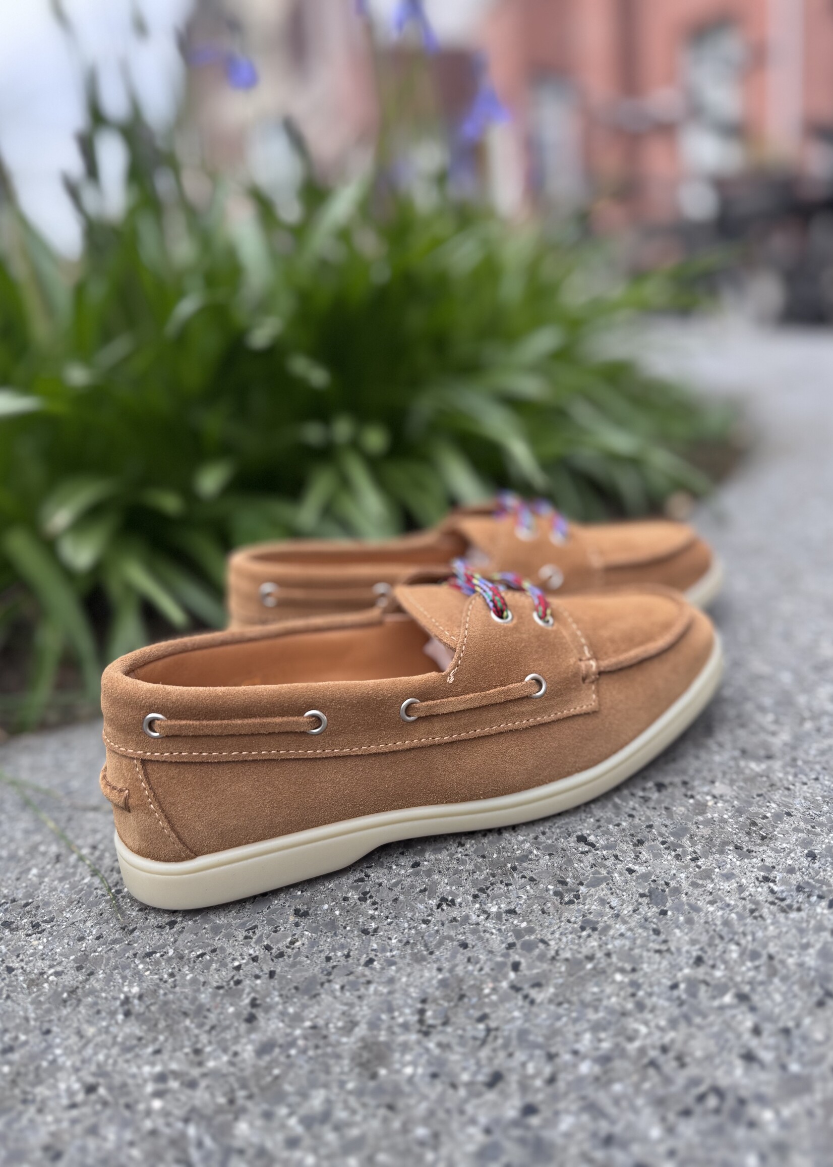 Gallucci J20569ASBSLB34Q Camel multicolor