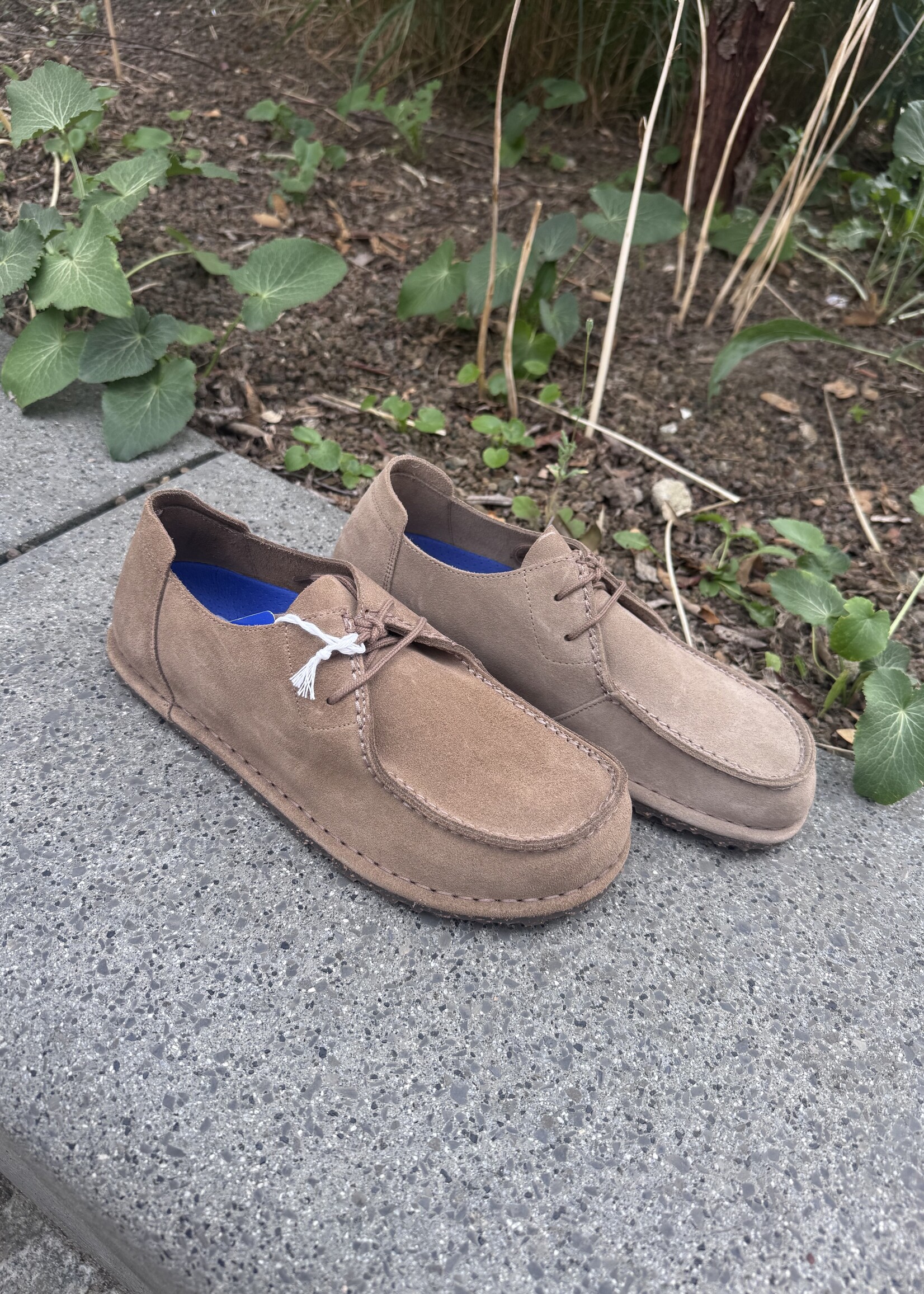 Birkenstock Utti lace LEVE gray taupe